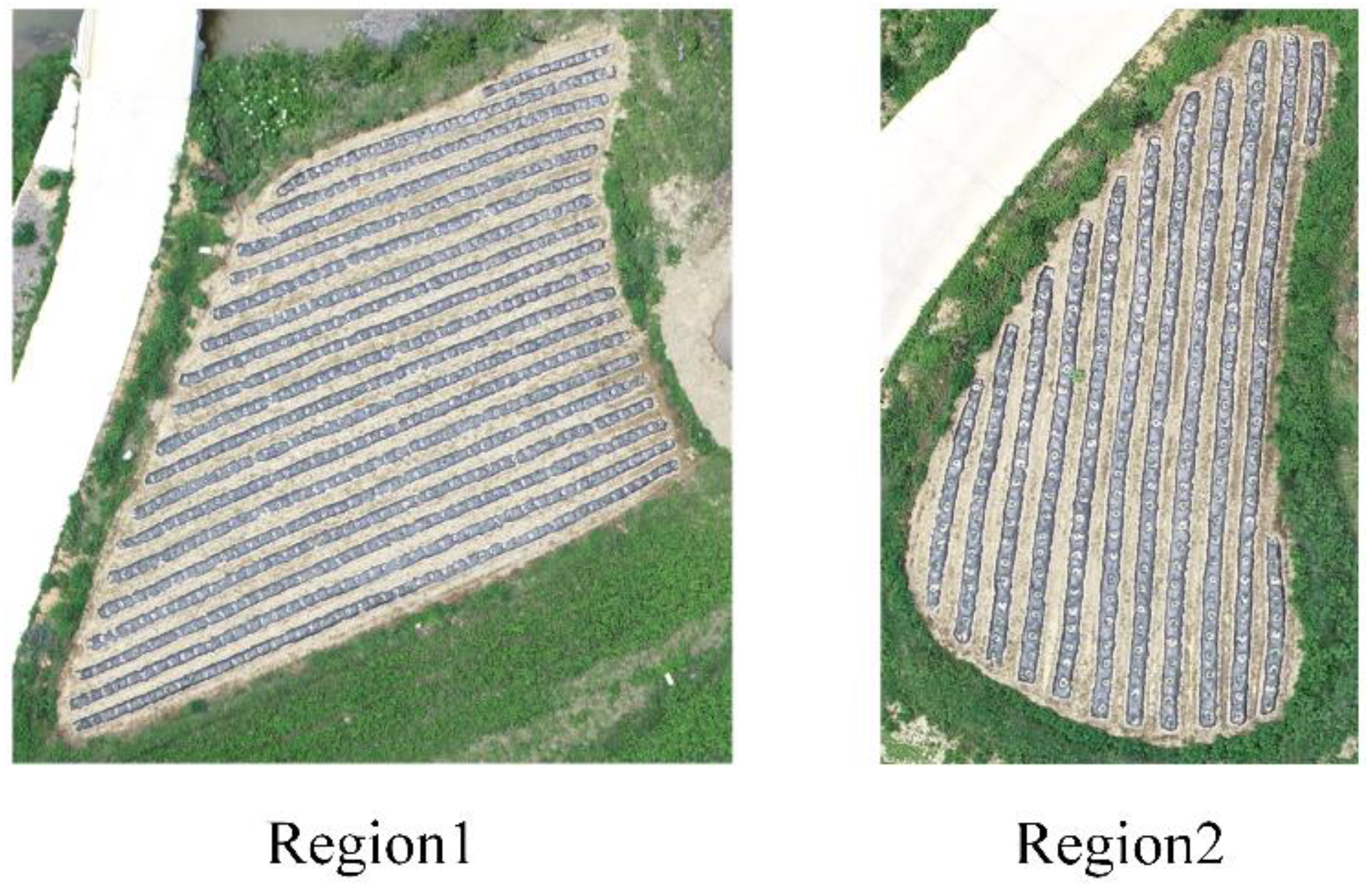 Agriculture 12 00026 g002 550