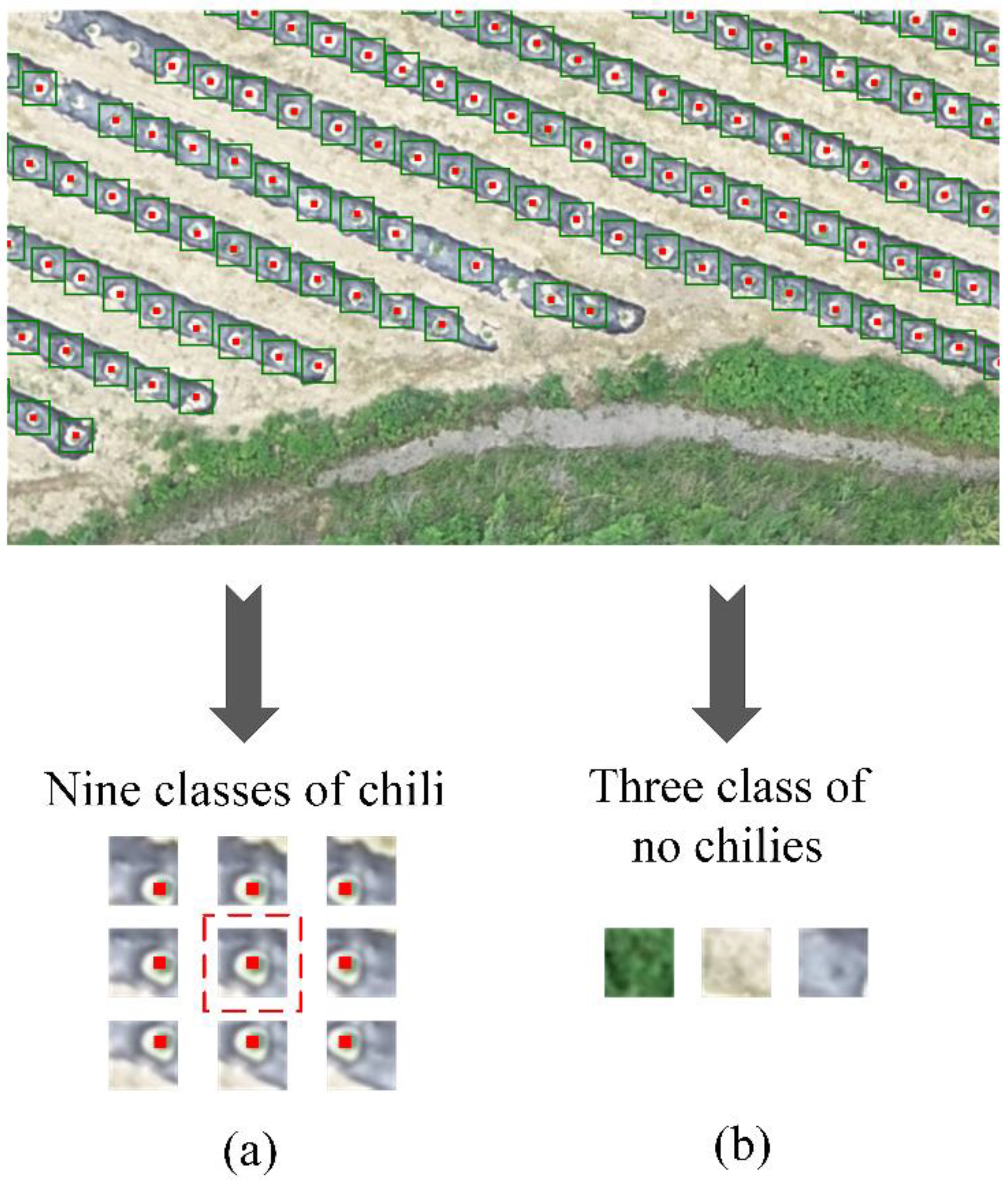 Agriculture 12 00026 g004 550