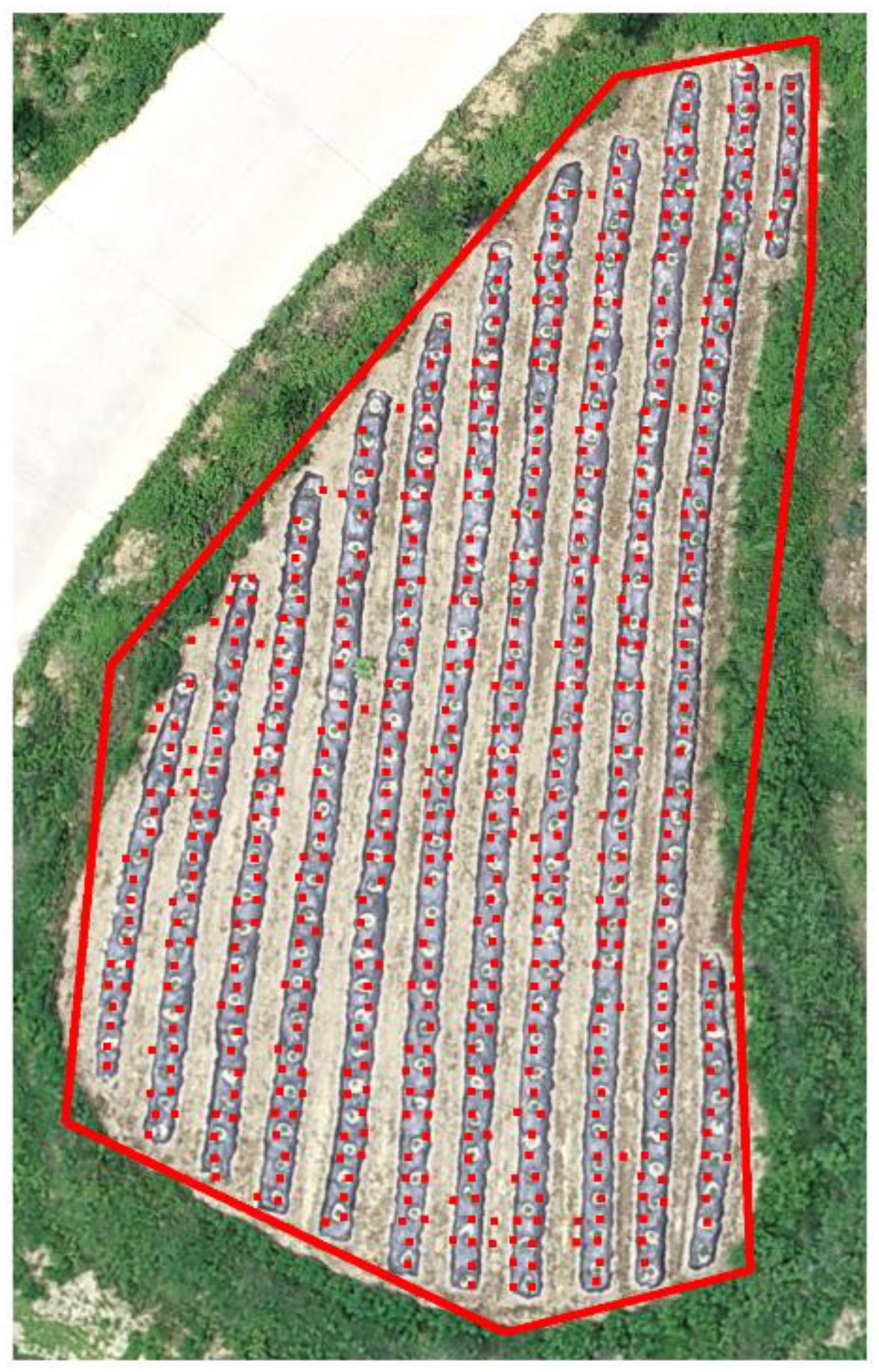 Agriculture 12 00026 g009 550