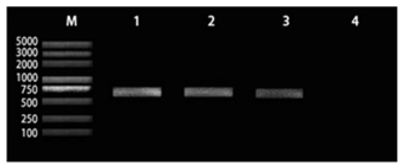 Agriculture 12 00036 g001
