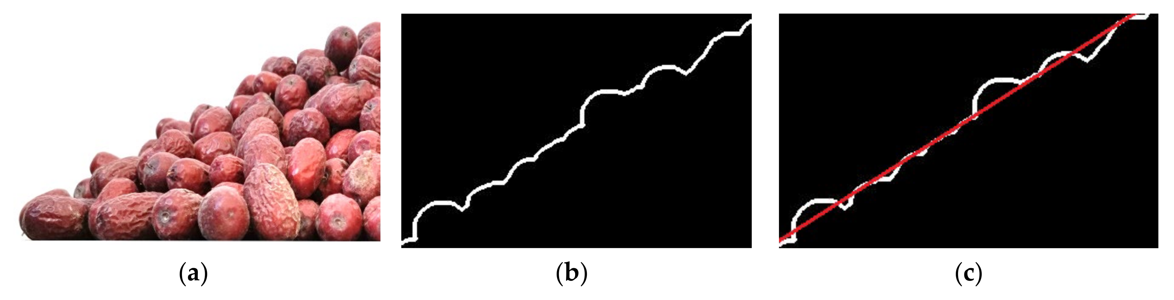 Agriculture 12 00038 g003