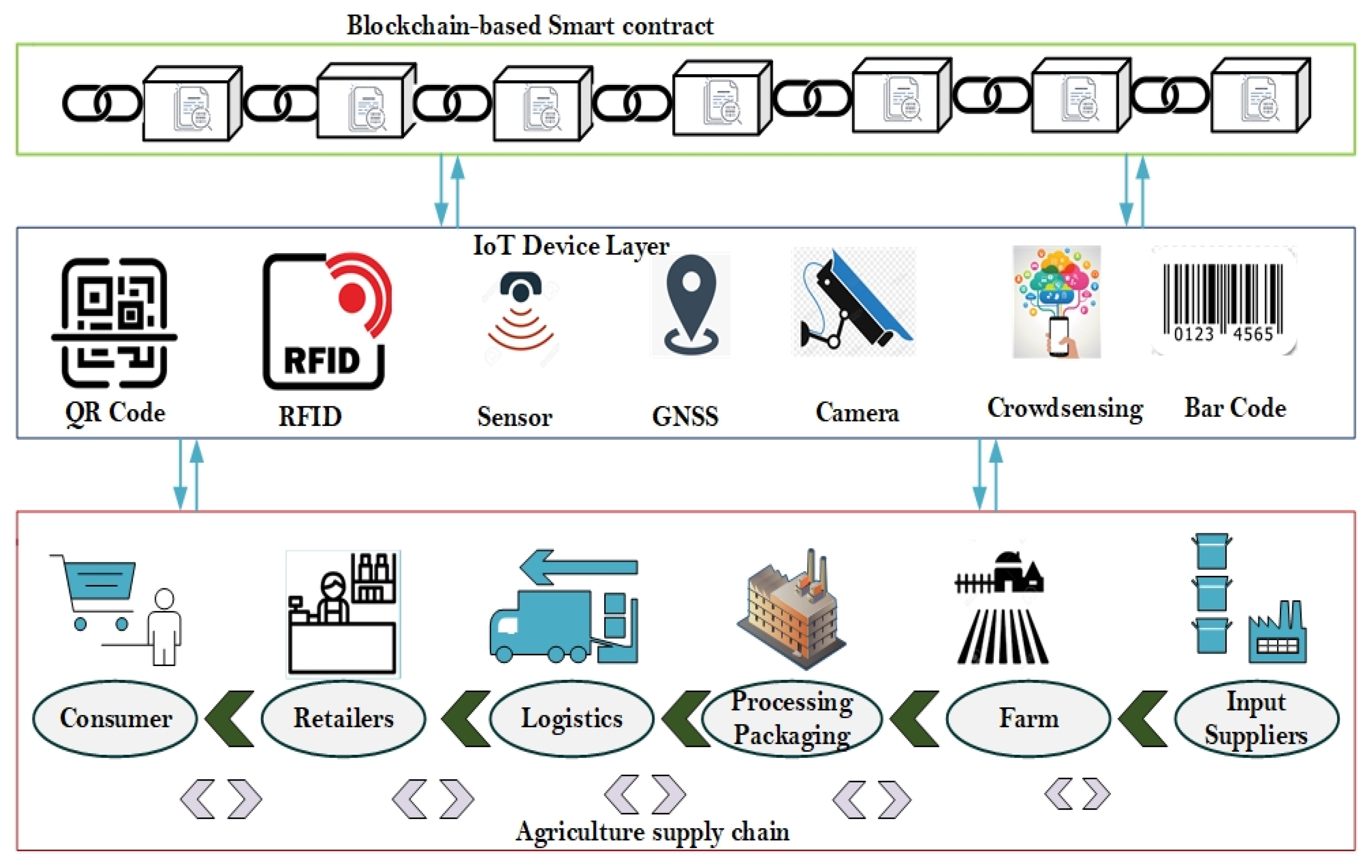 Agriculture value chain