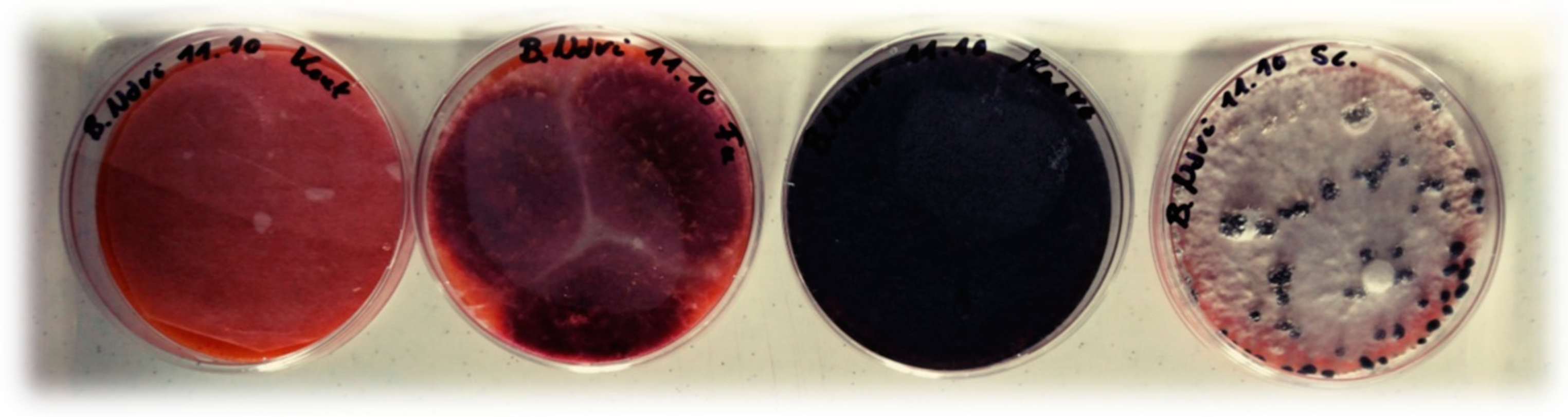 Agriculture 12 00045 g001 Agriculture 12 00045 g001