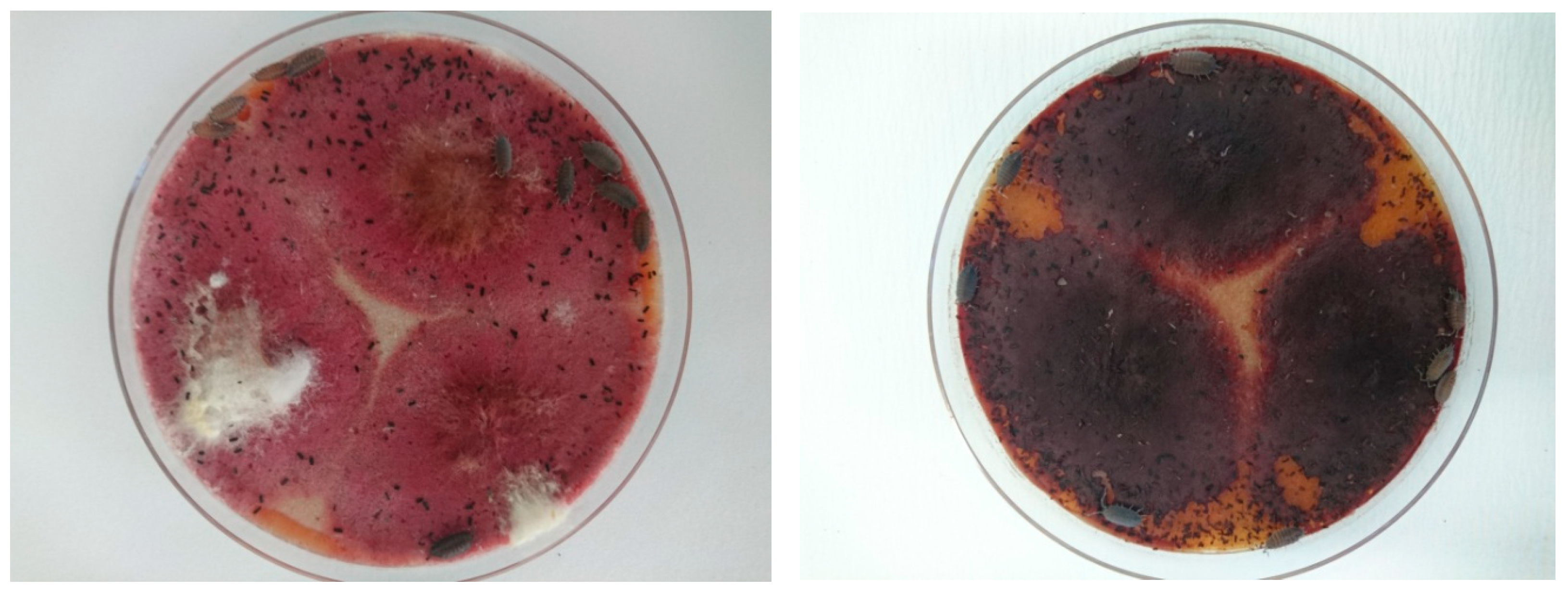 Agriculture 12 00045 g002 Agriculture 12 00045 g002