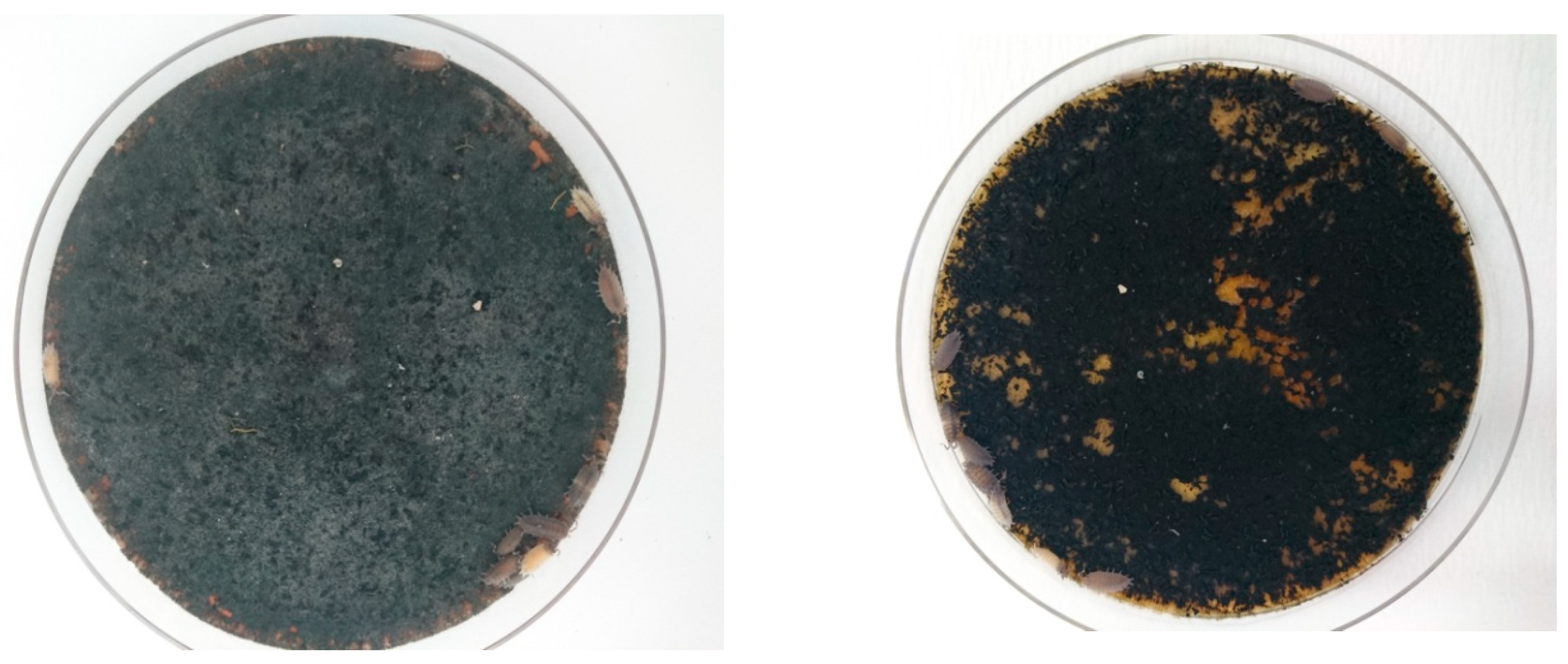 Agriculture 12 00045 g003 Agriculture 12 00045 g003