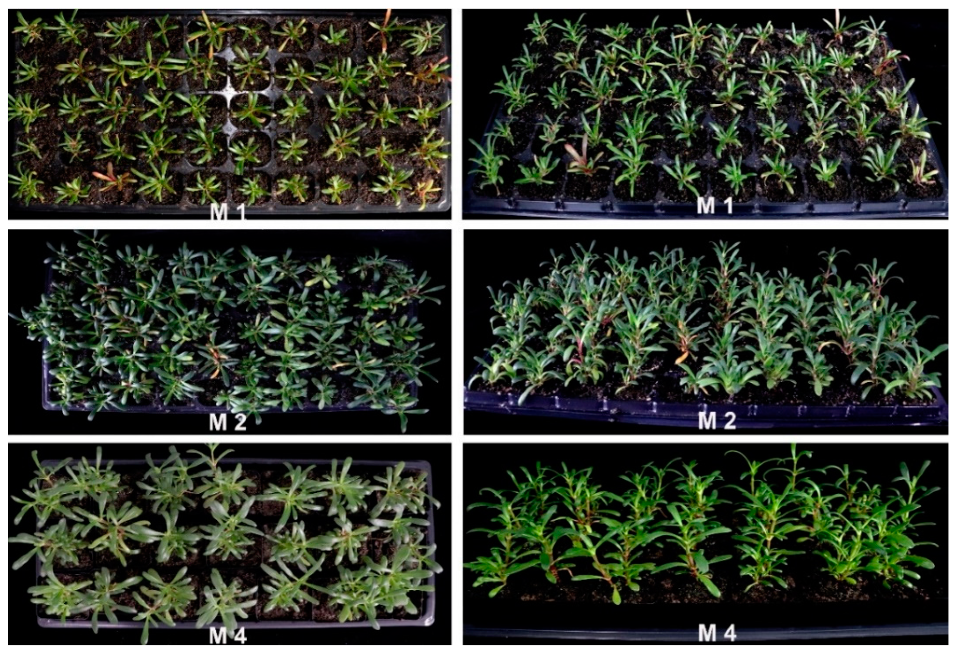 Agriculture 12 00047 g005