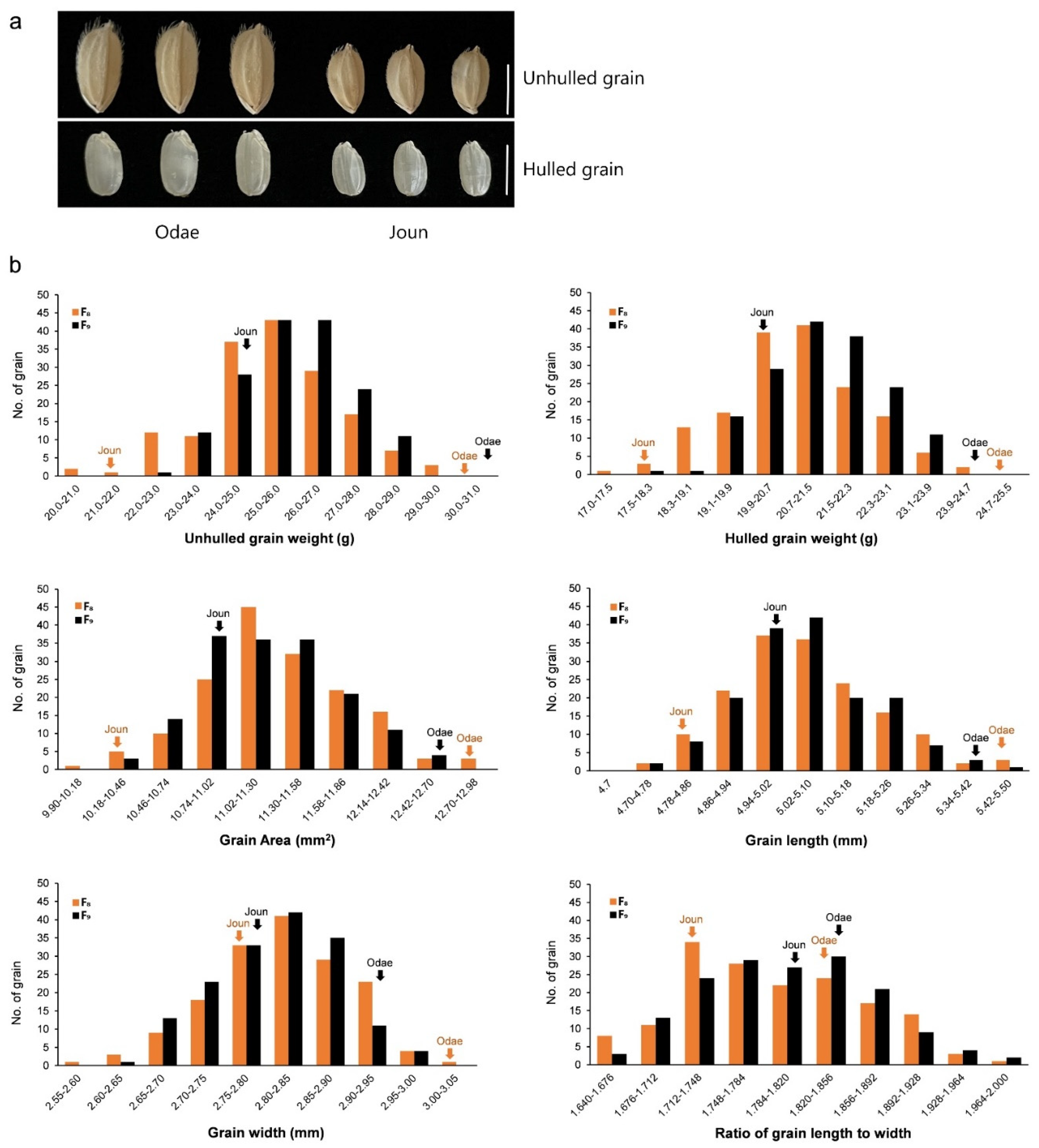 Agriculture 12 00051 g001