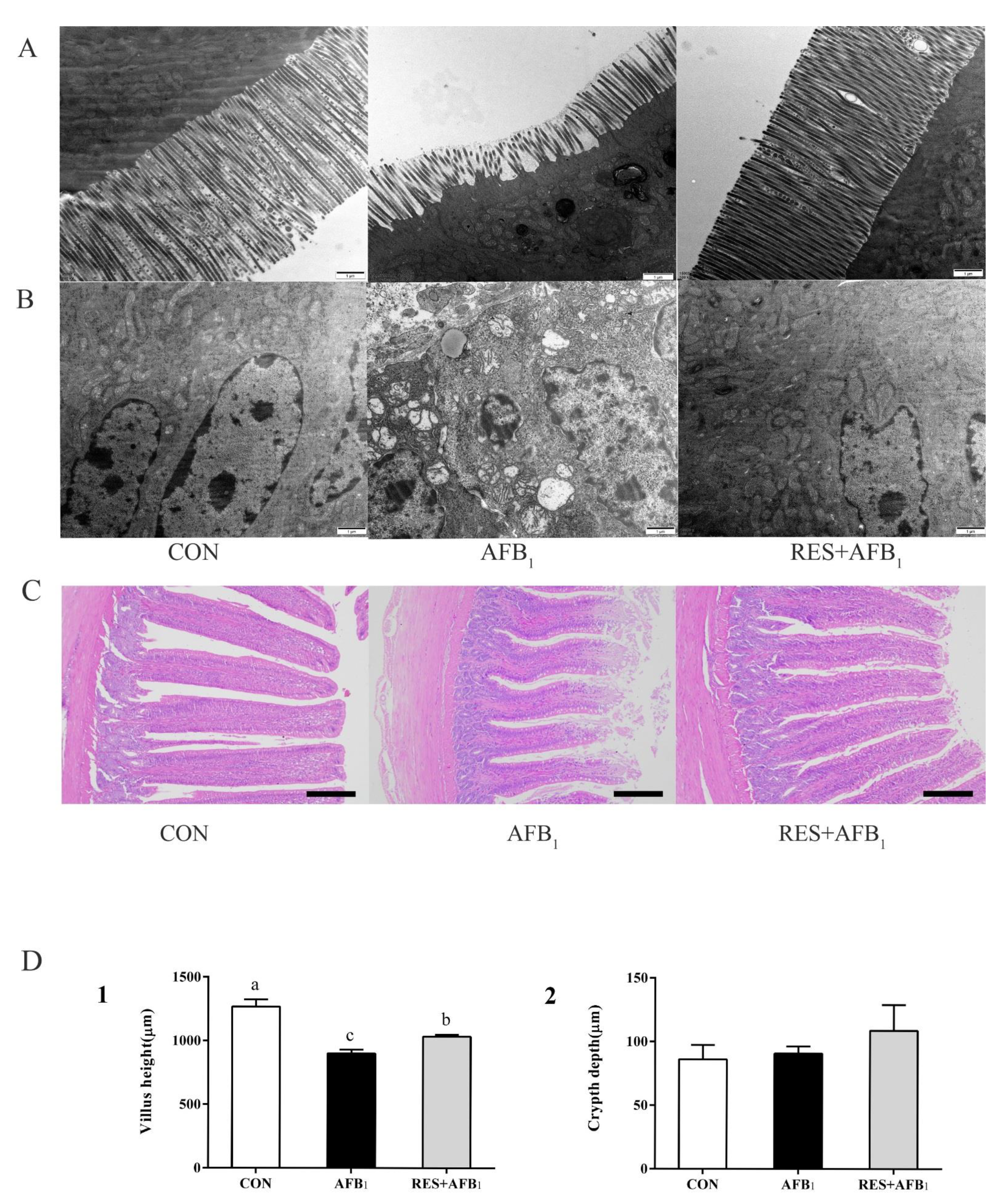 Agriculture 12 00054 g002