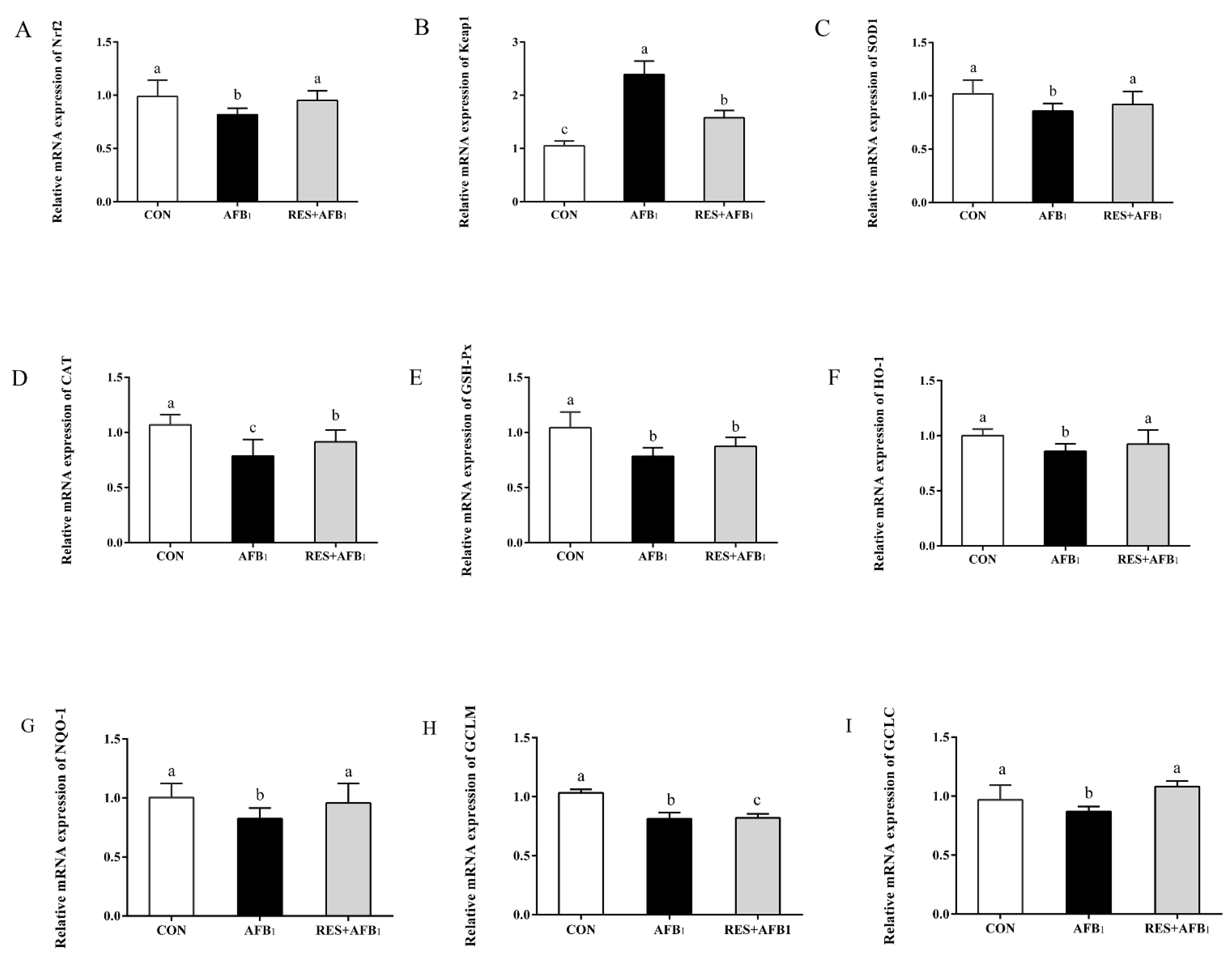 Agriculture 12 00054 g003