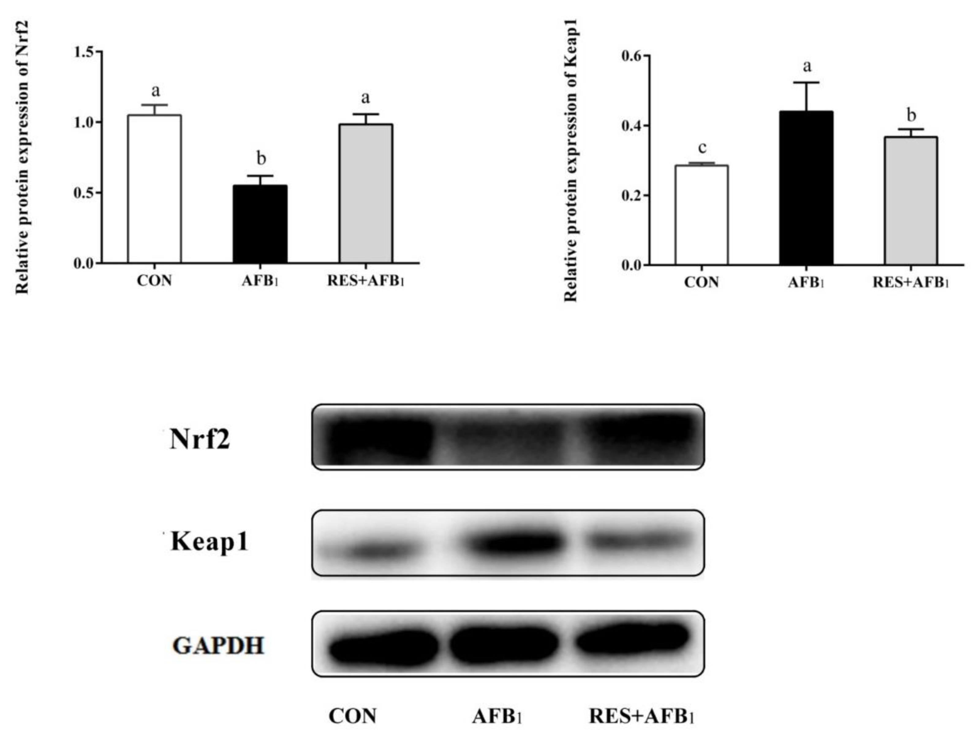 Agriculture 12 00054 g004