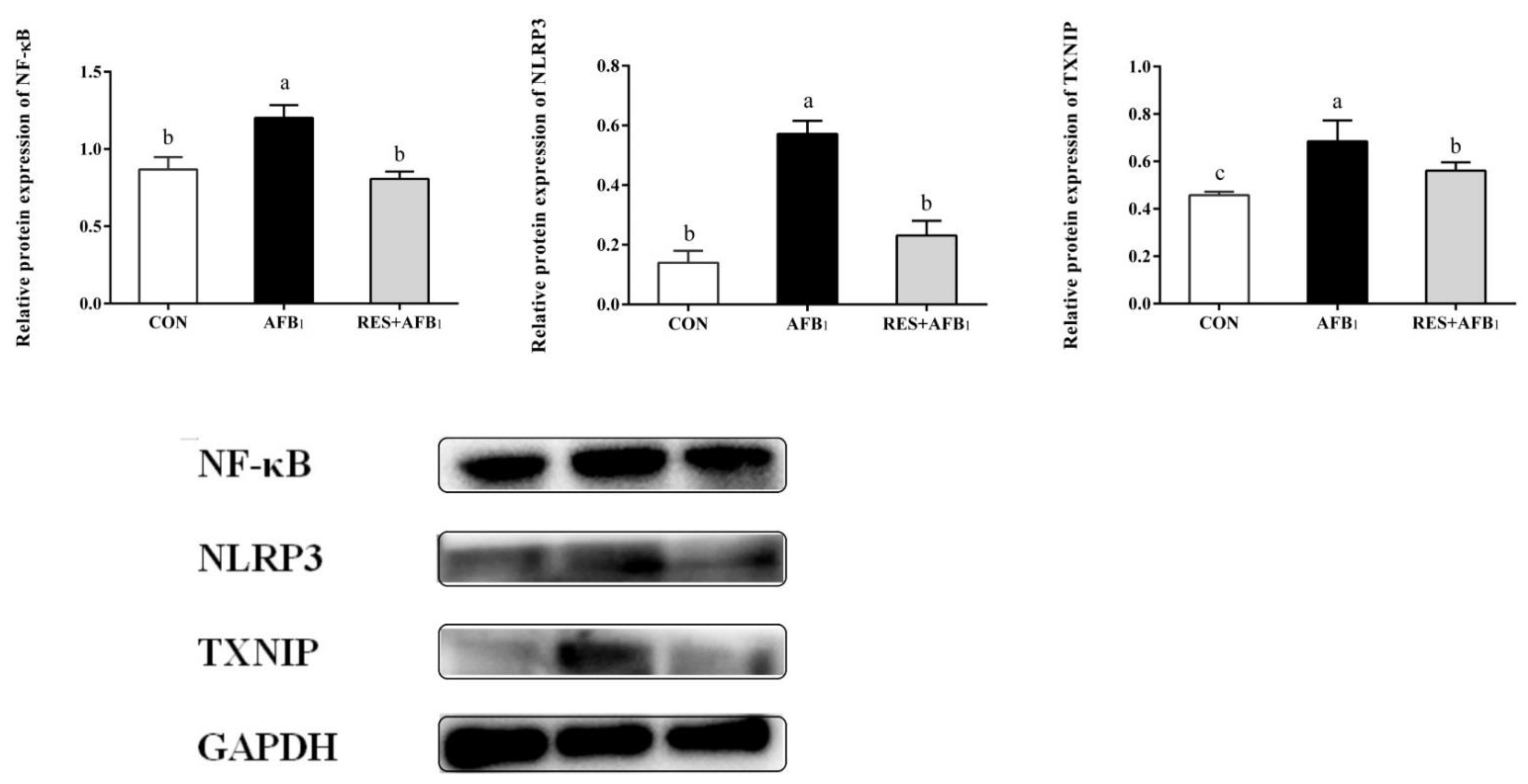 Agriculture 12 00054 g006