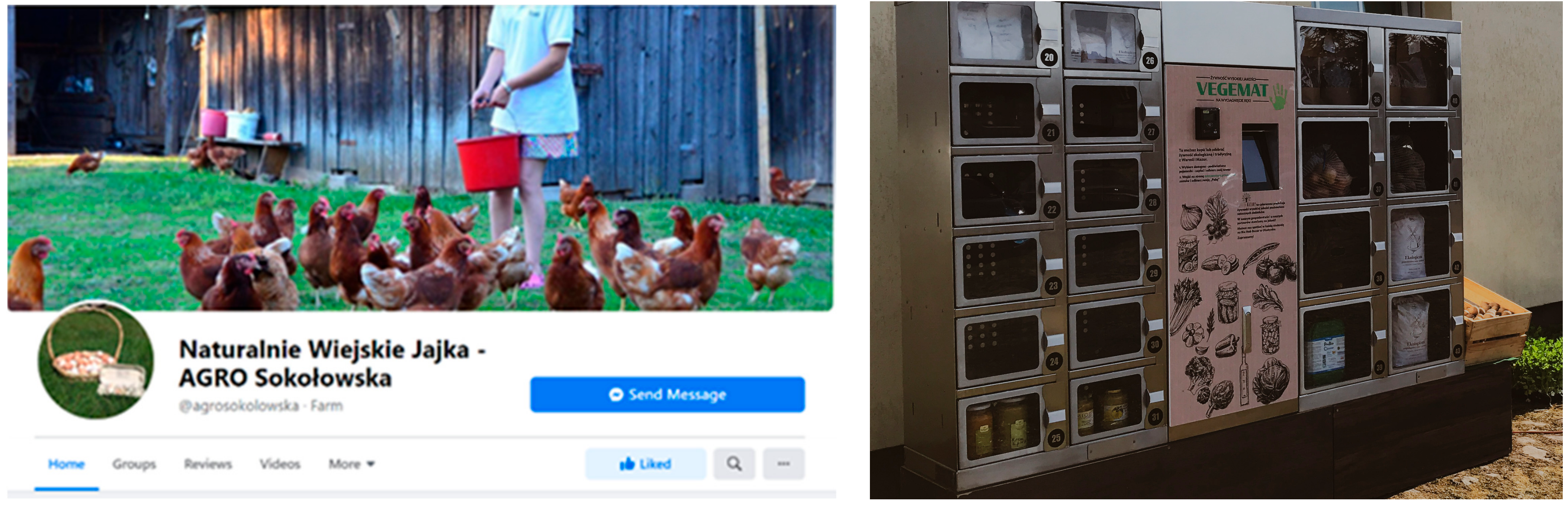 Agriculture 12 00061 g002