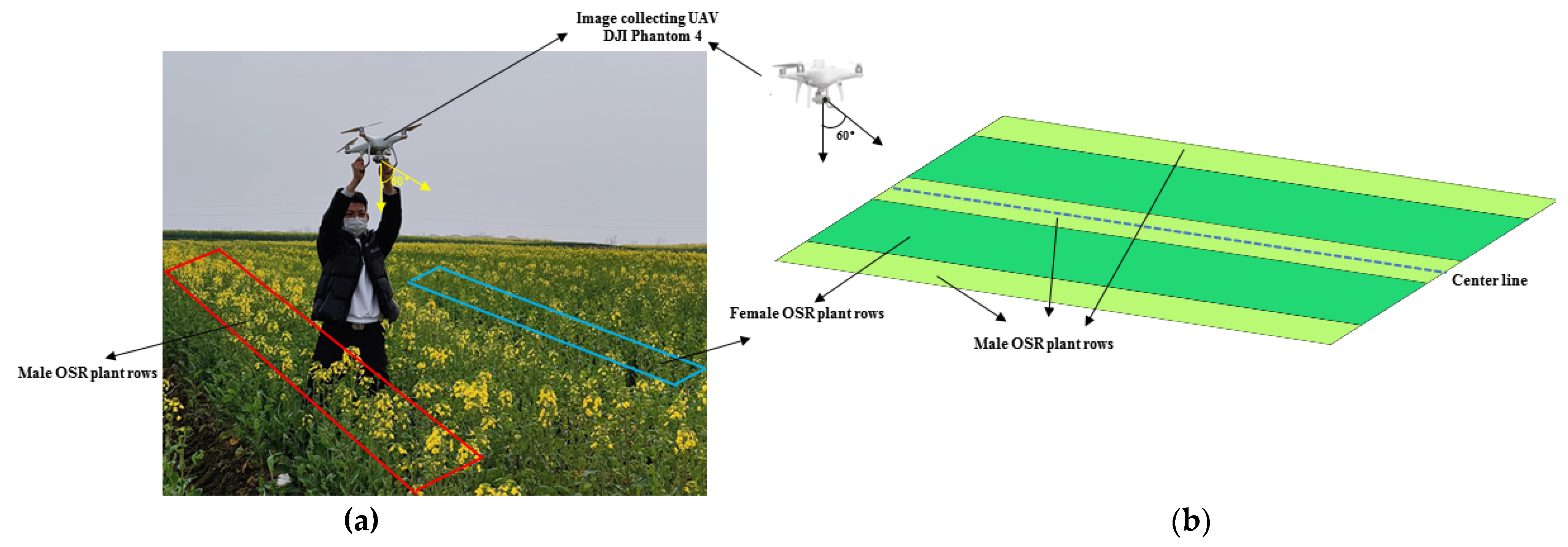 Agriculture 12 00062 g001