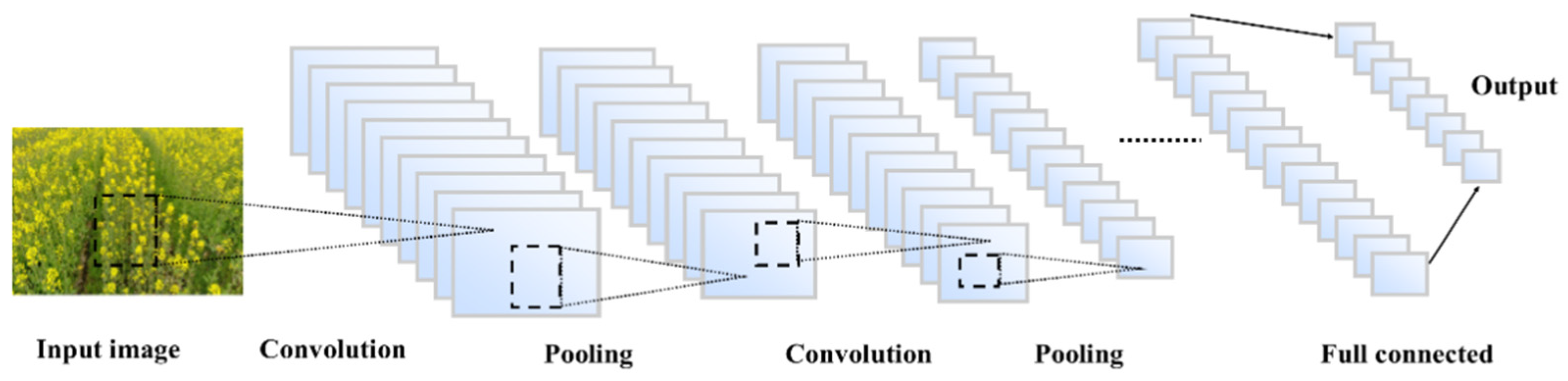 Agriculture 12 00062 g002