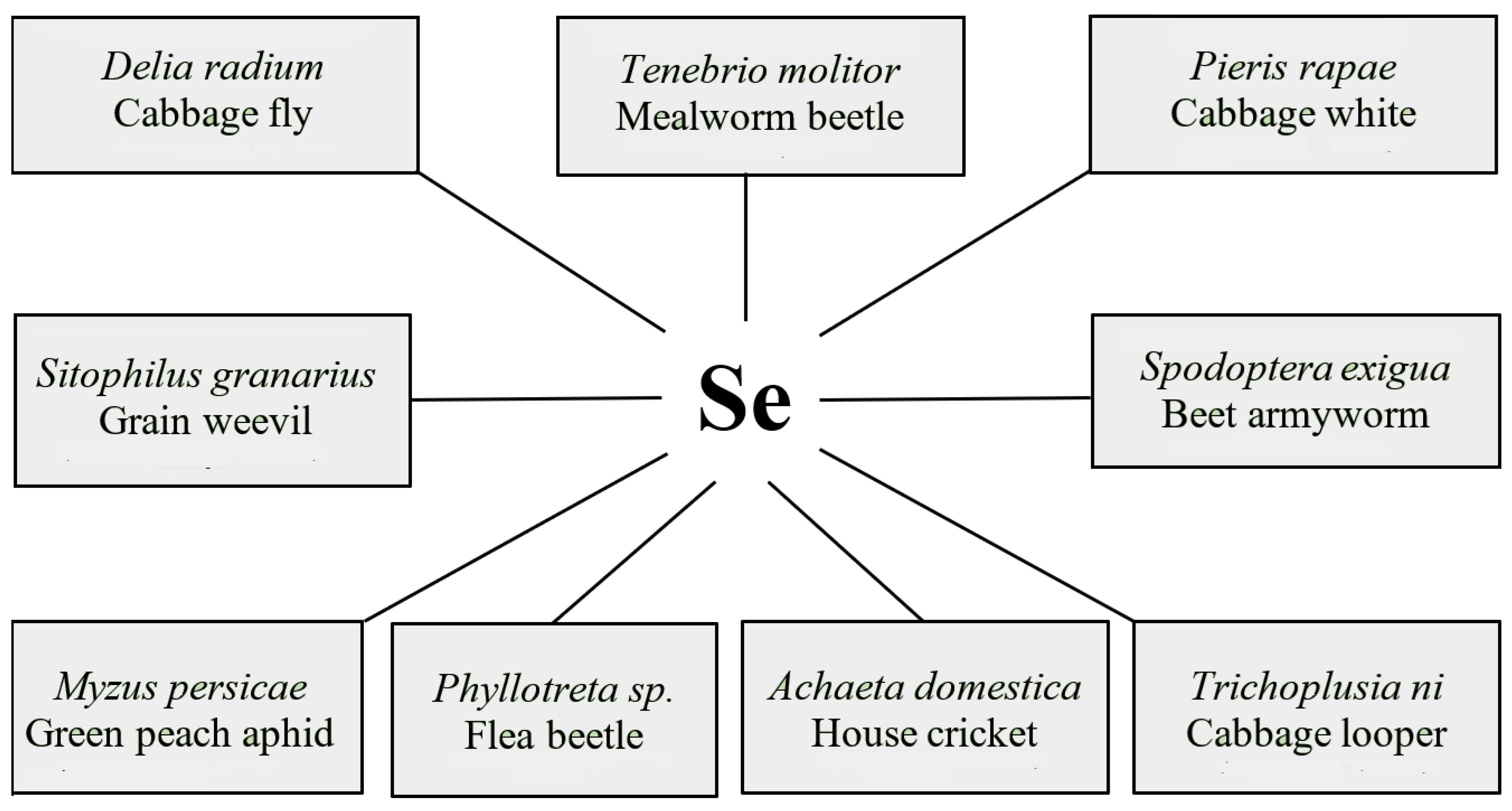 Agriculture 12 00064 g002