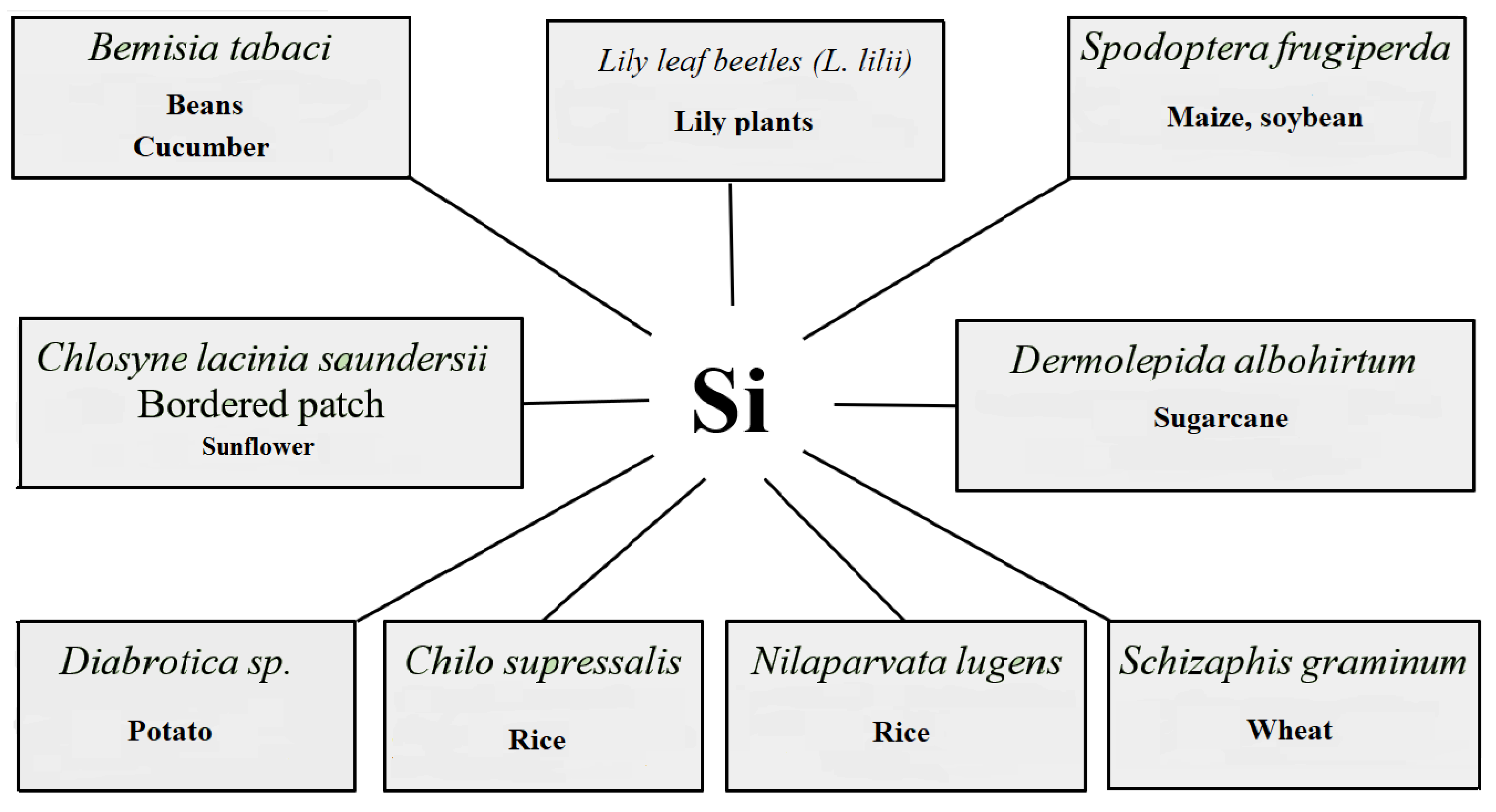 Agriculture 12 00064 g003