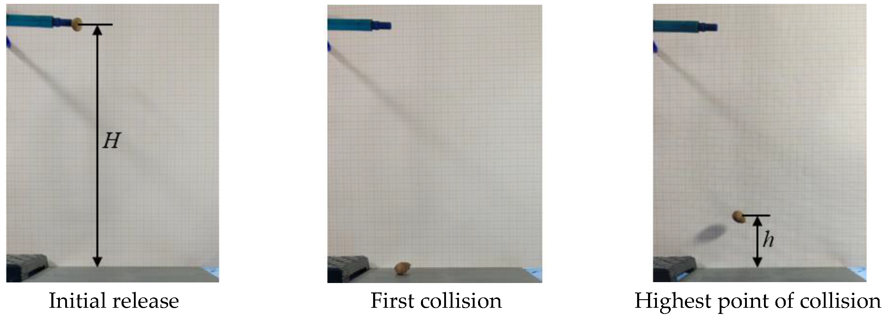 Agriculture 12 00065 g005 Agriculture 12 00065 g005