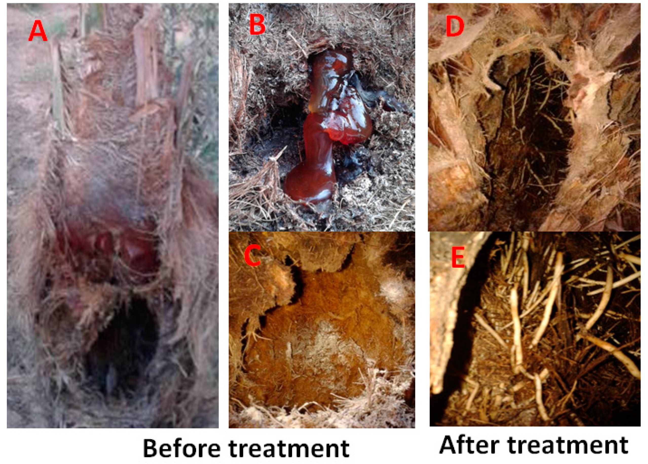 Agriculture 12 00071 g005