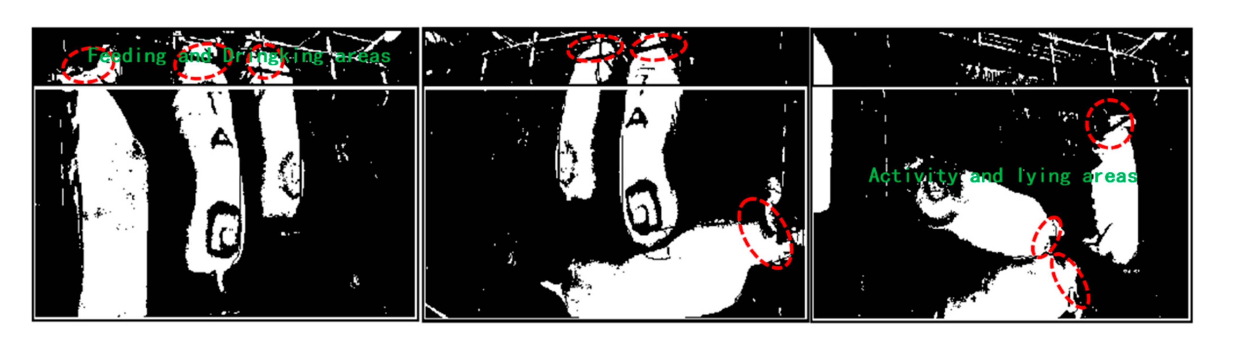 Agriculture 12 00073 g013