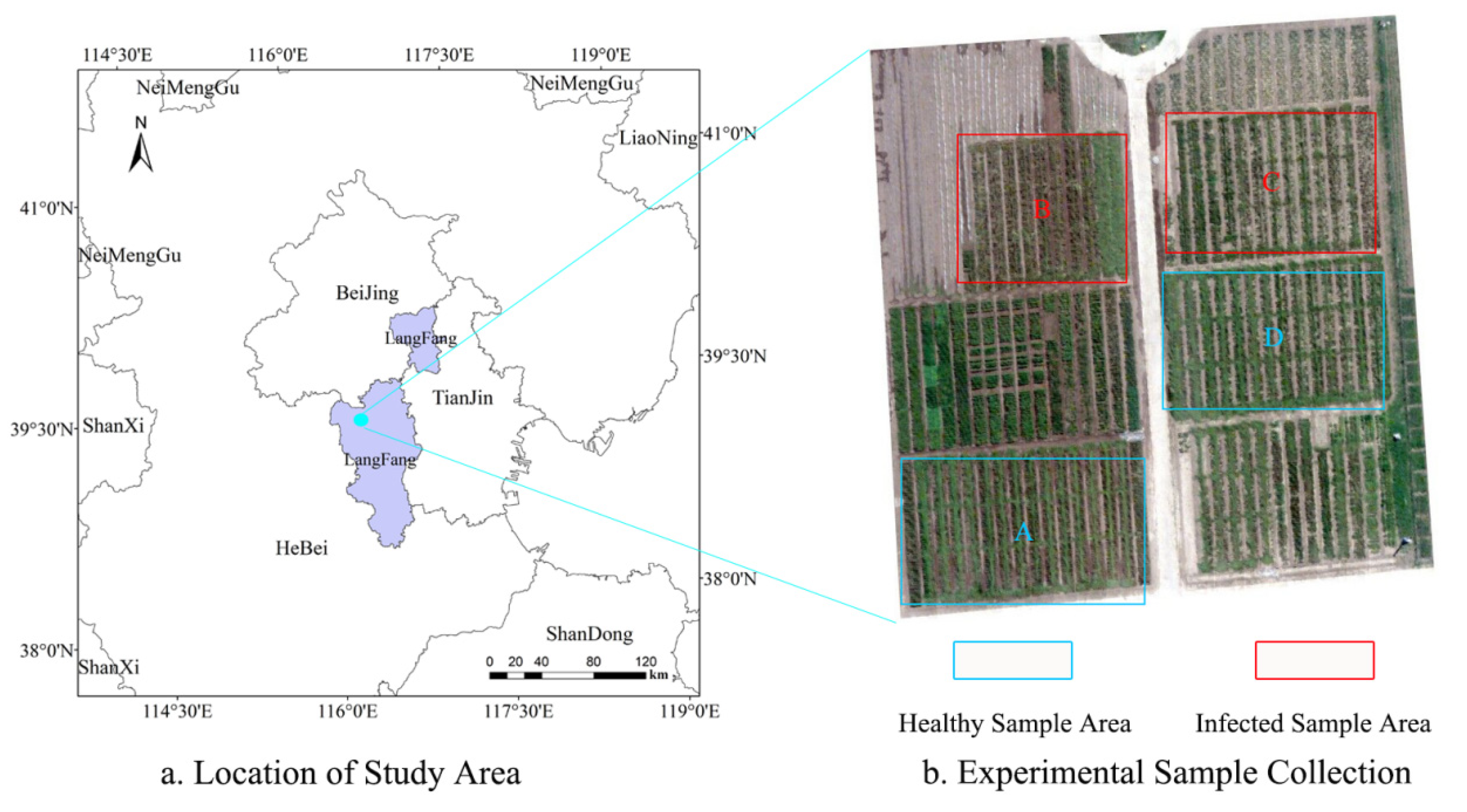 Agriculture 12 00074 g002