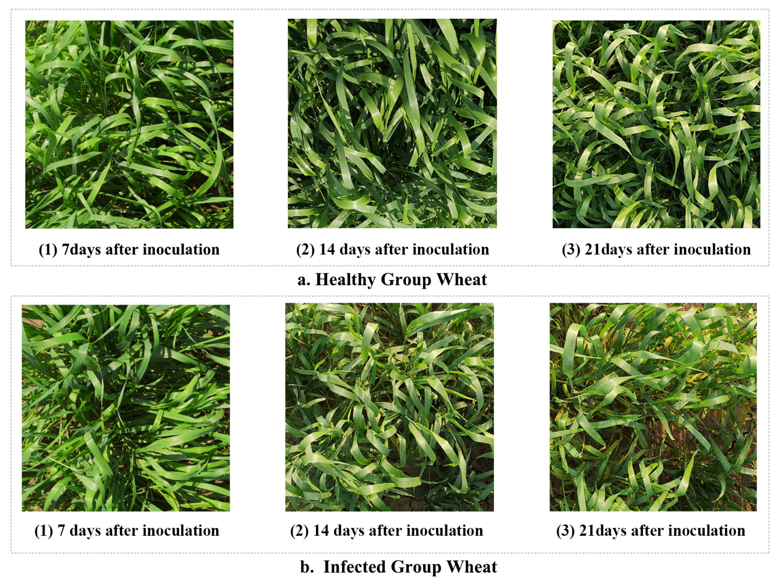 Agriculture 12 00074 g003