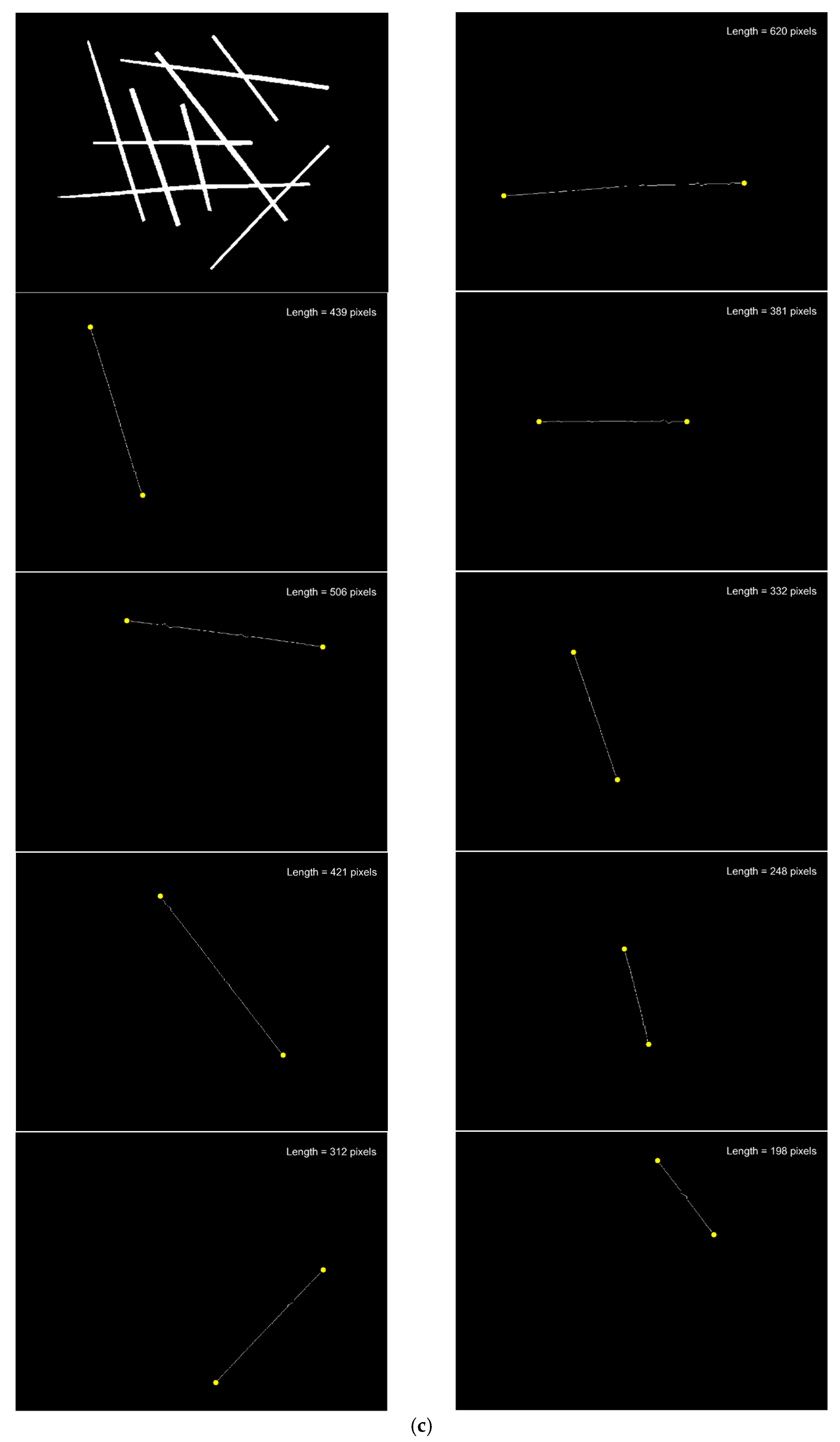 Agriculture 12 00080 g017c 550