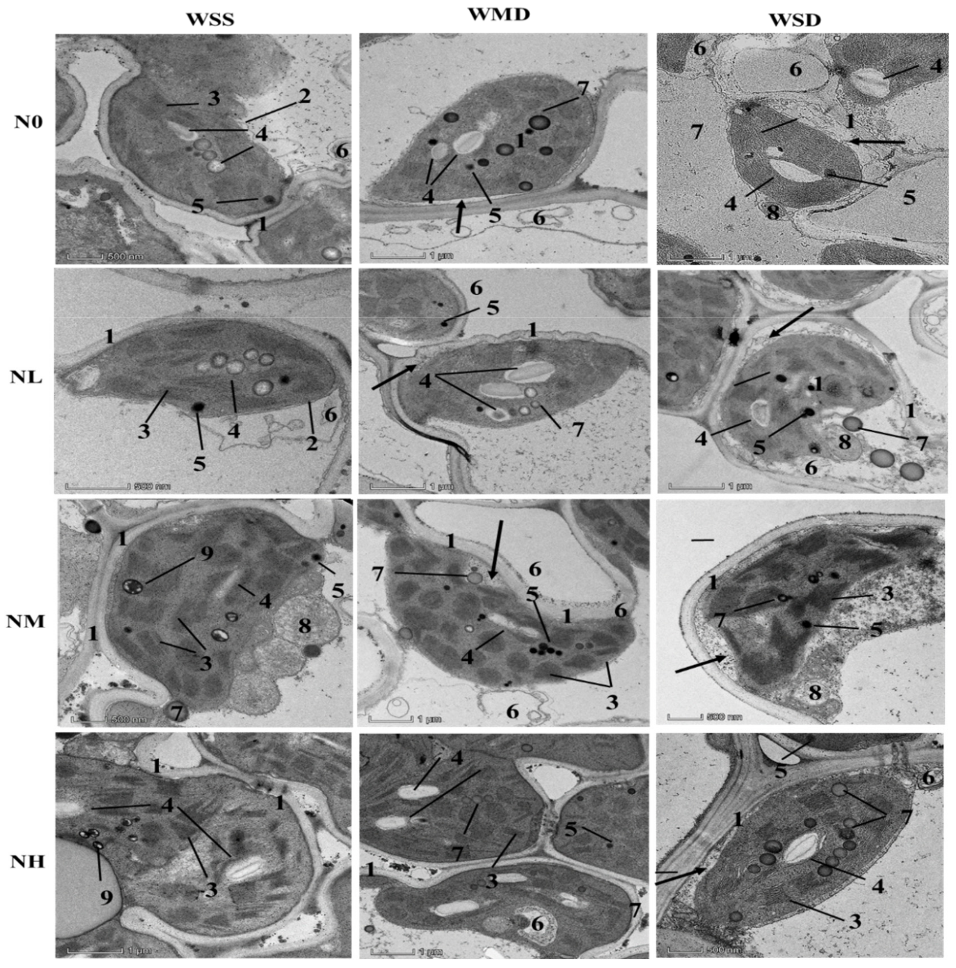 Agriculture 12 00086 g004