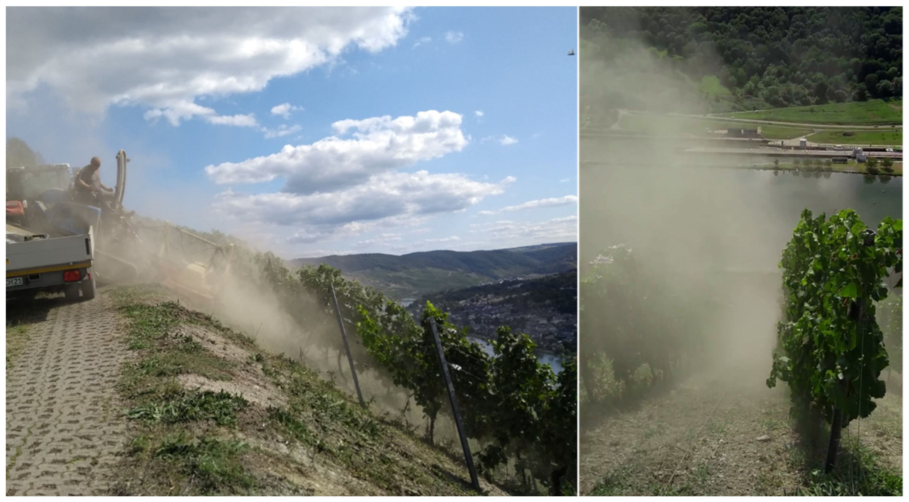 Agriculture 12 00100 g001 550