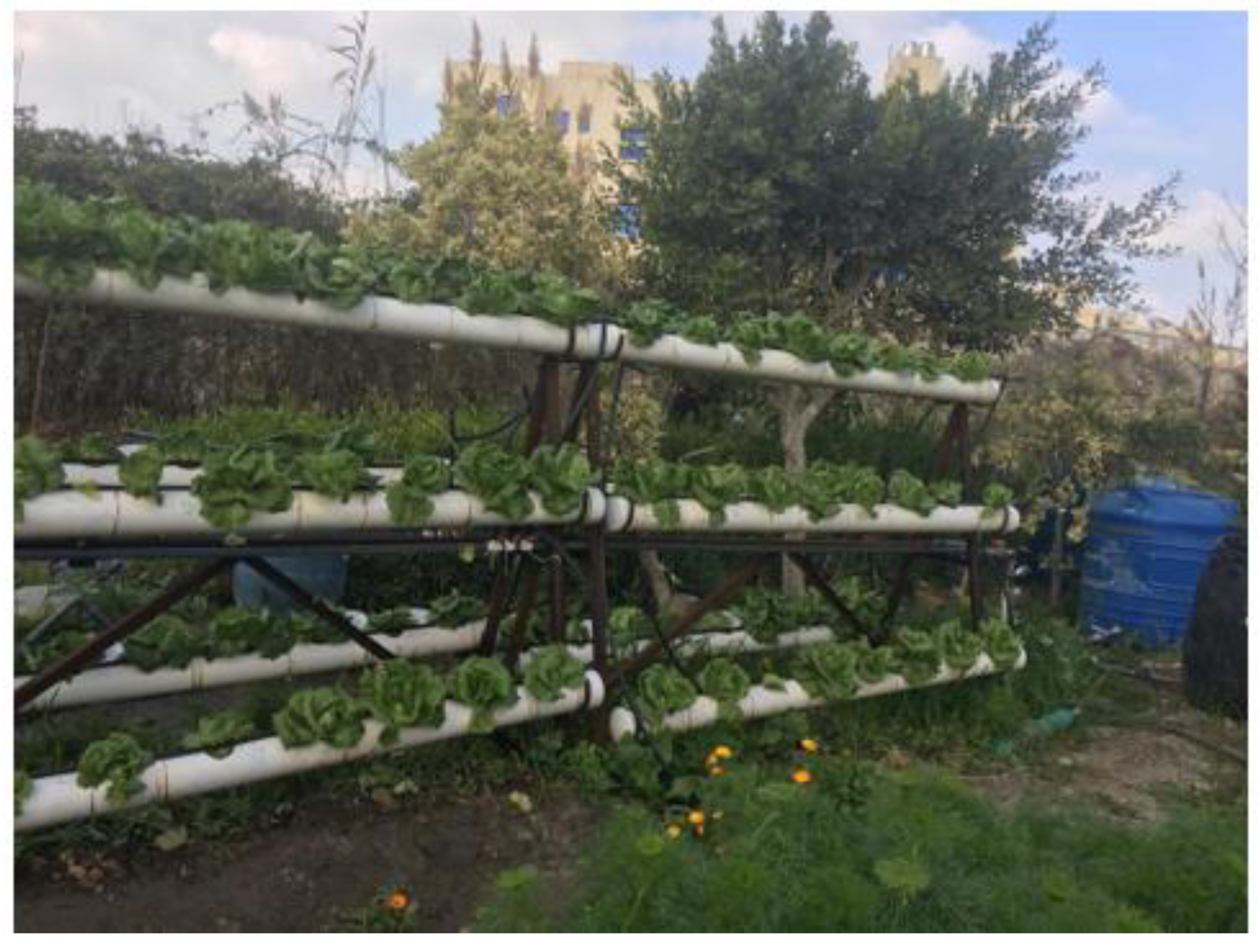 Agriculture 12 00101 g0a3