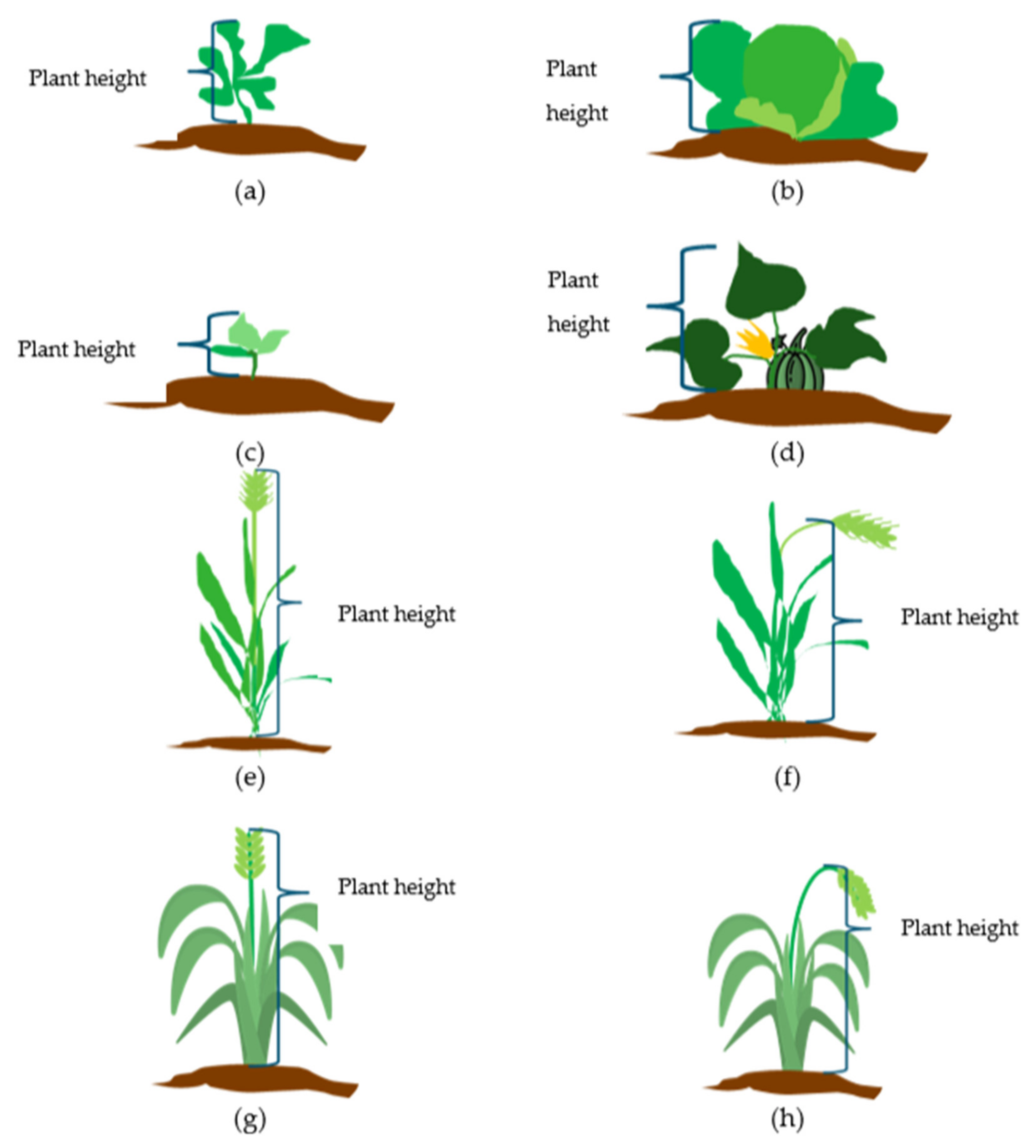 Agriculture 12 00102 g002