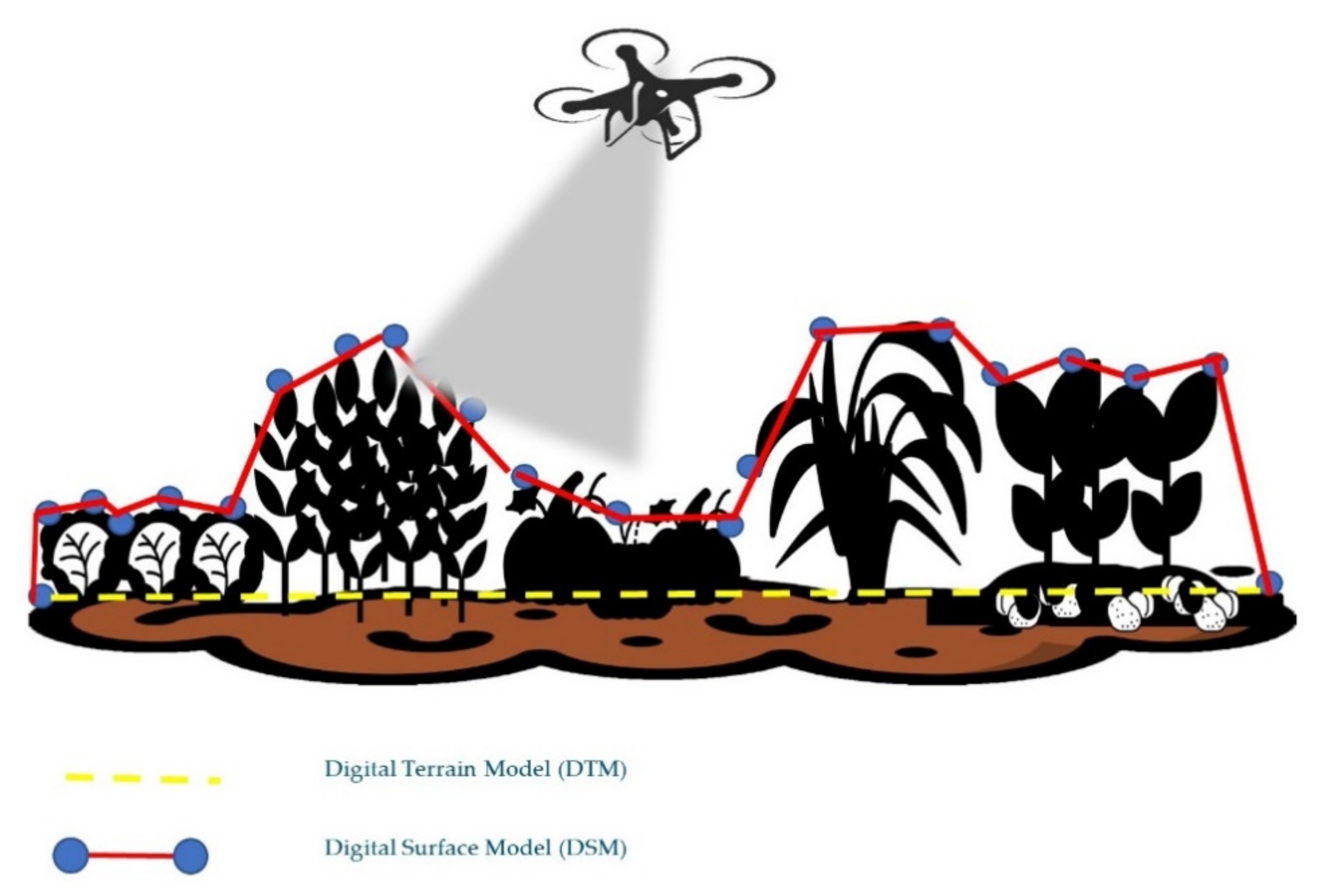 Agriculture 12 00102 g004