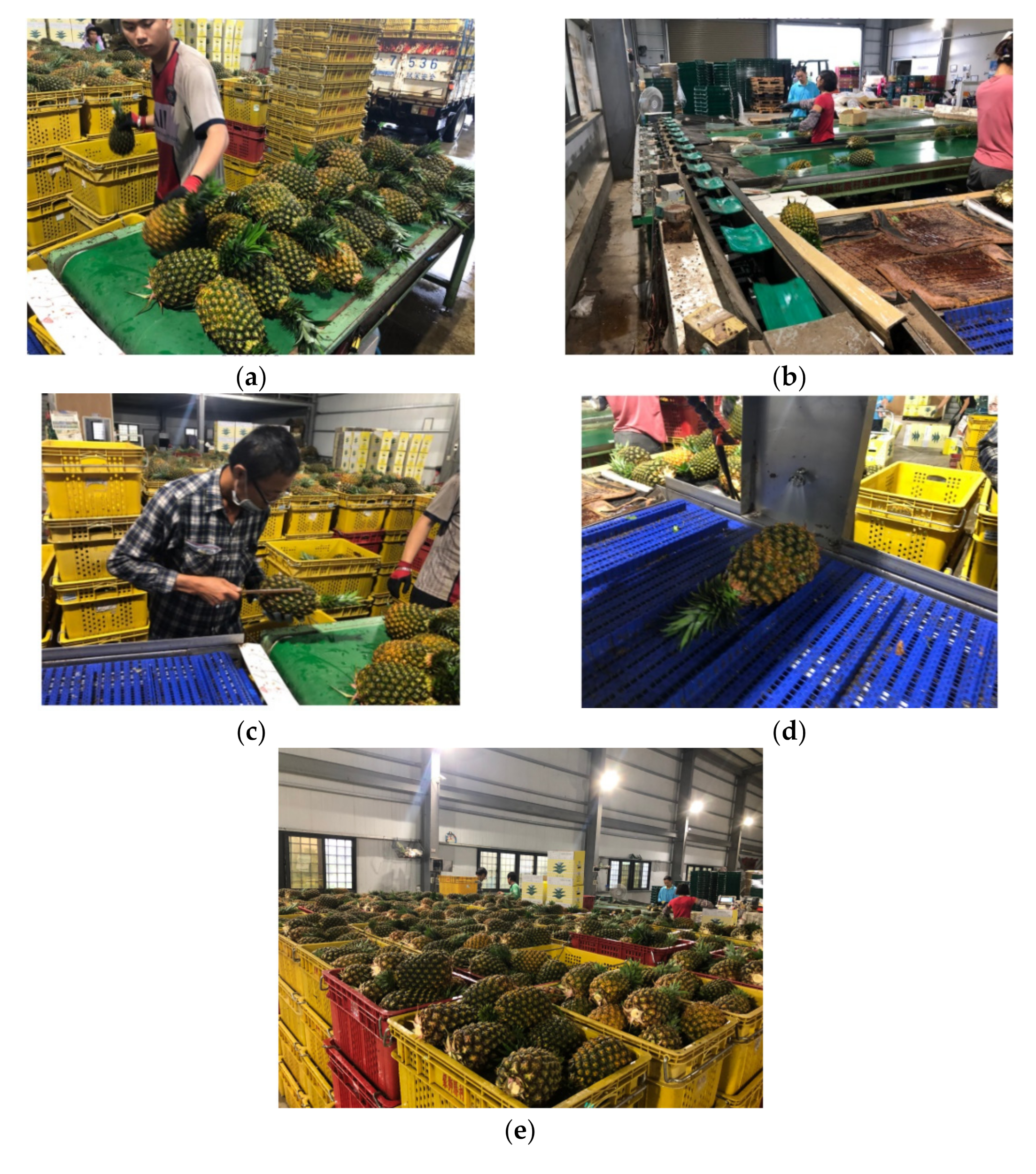 Agriculture 12 00129 g001