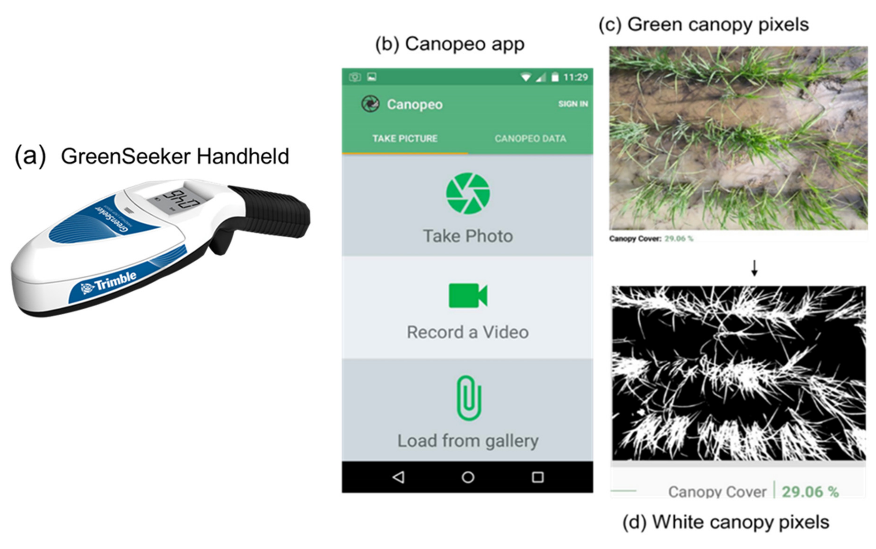 Agriculture 12 00130 g002 550