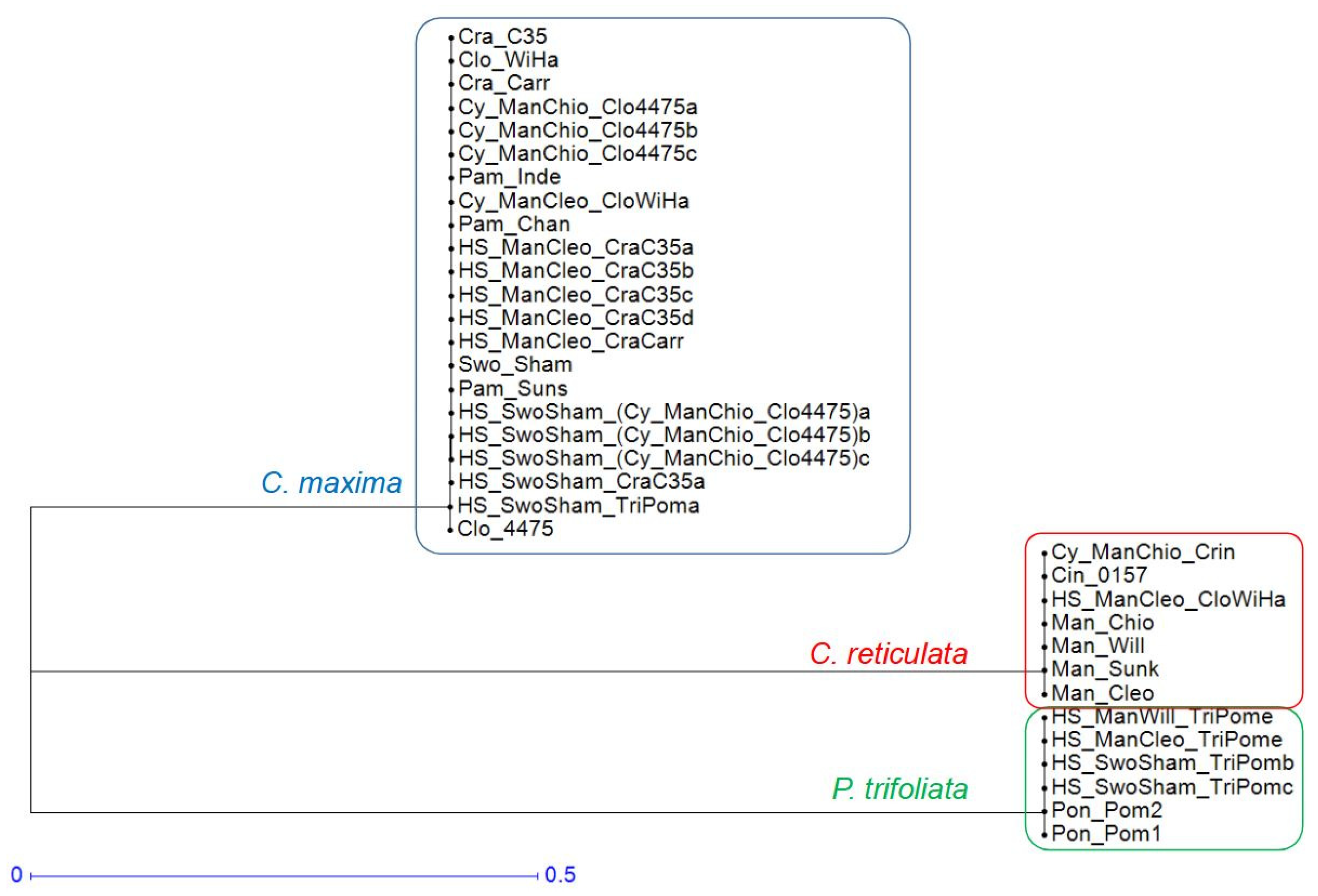 Agriculture 12 00134 g004