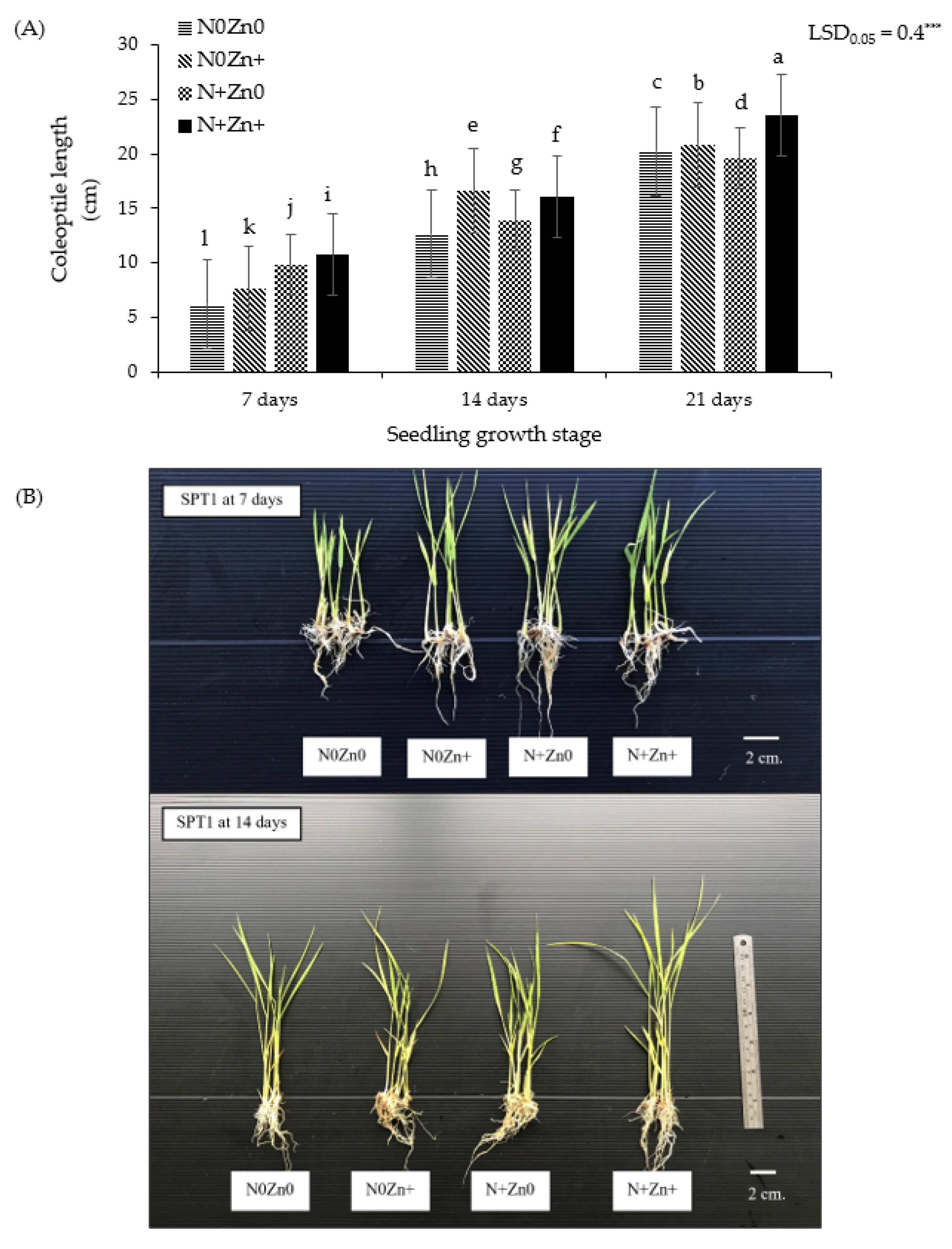 Agriculture 12 00144 g004 550