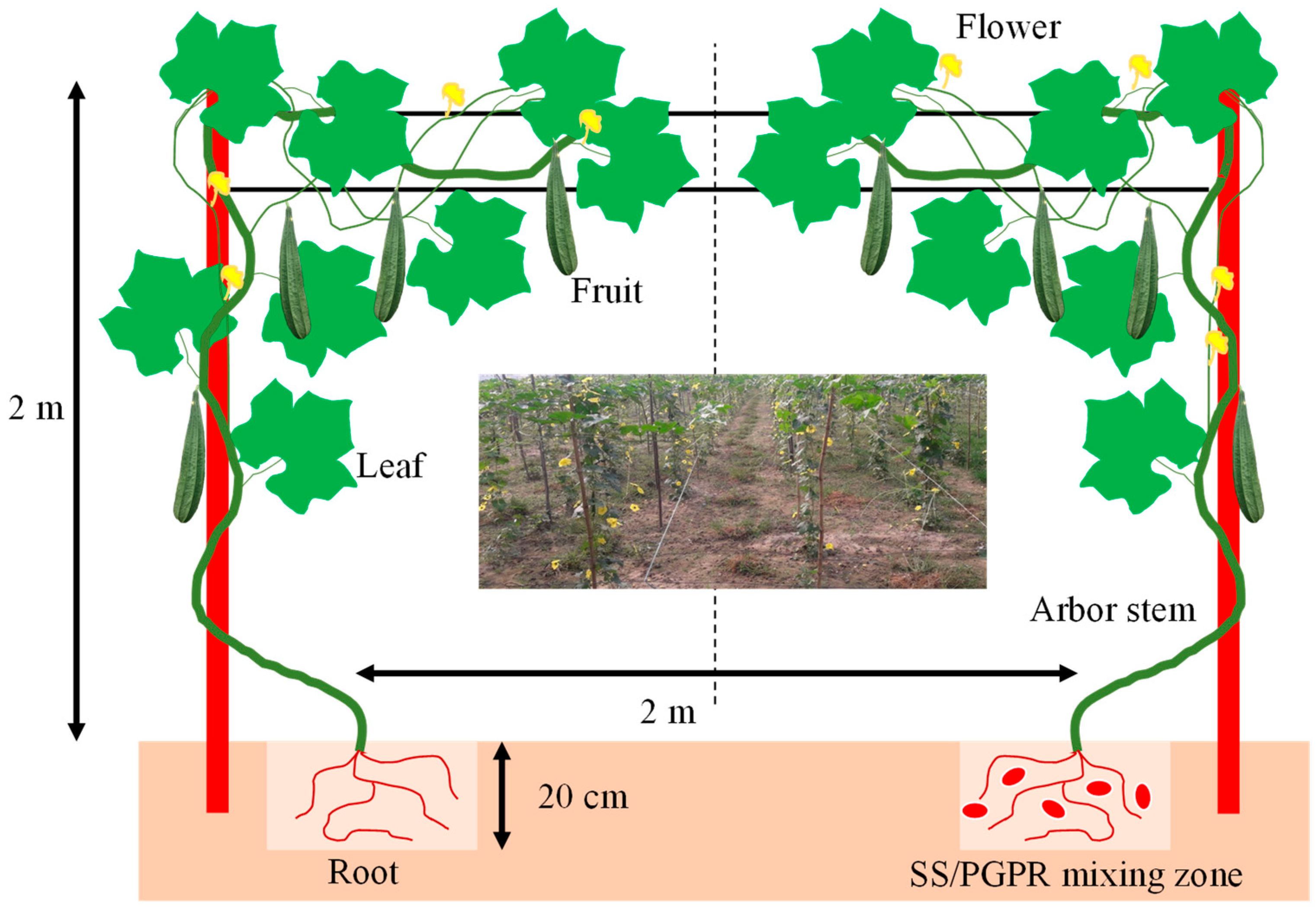 Agriculture 12 00173 g001 550