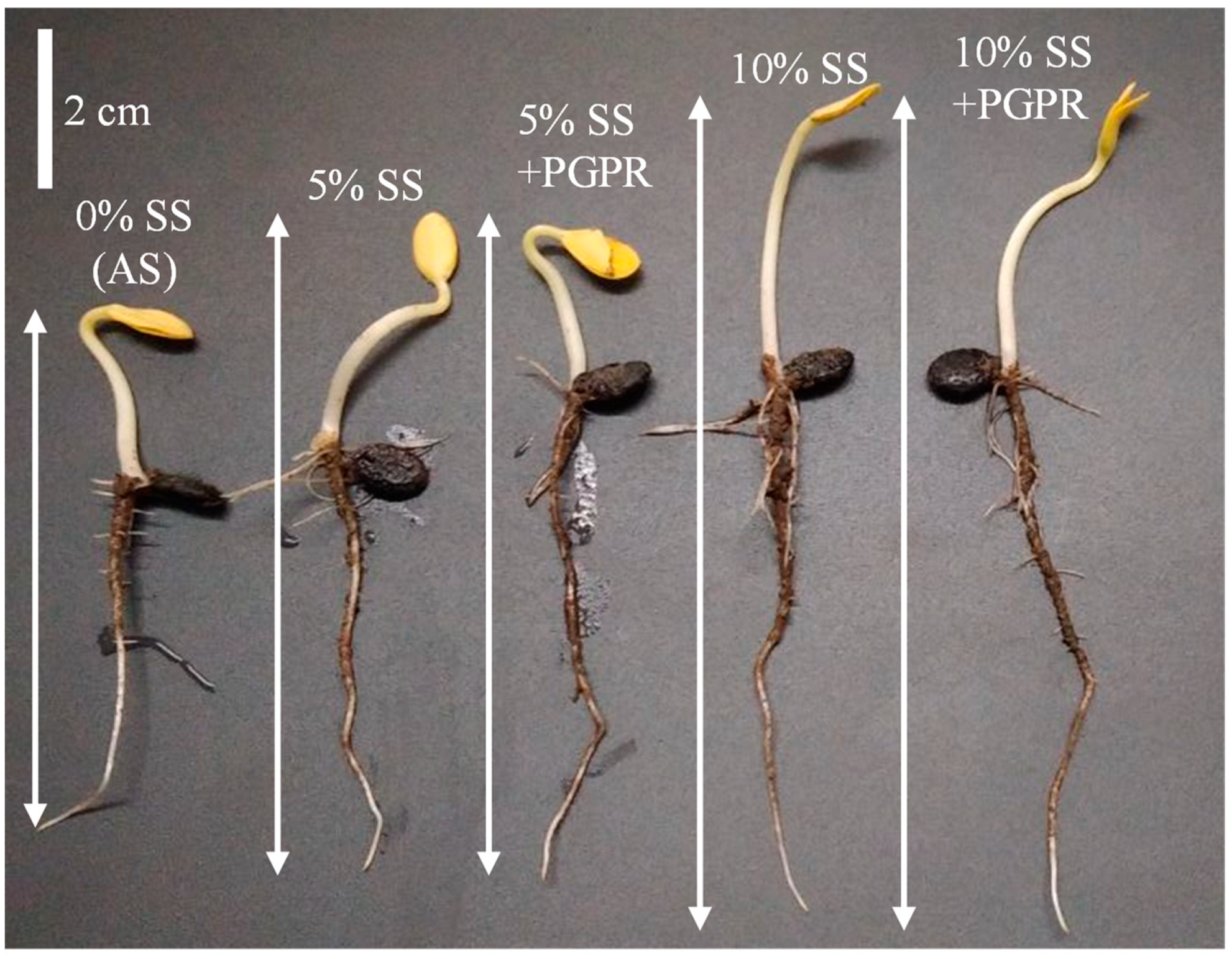 Agriculture 12 00173 g003 550