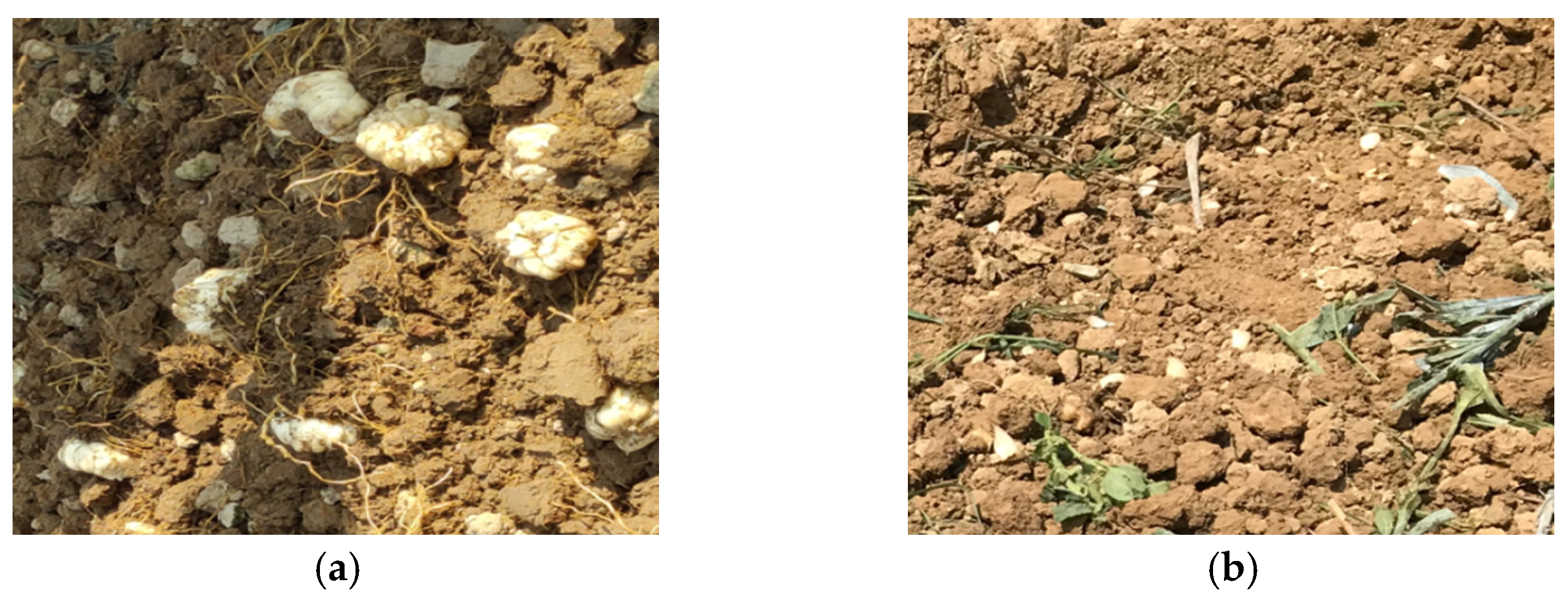 Agriculture 12 00175 g003 550