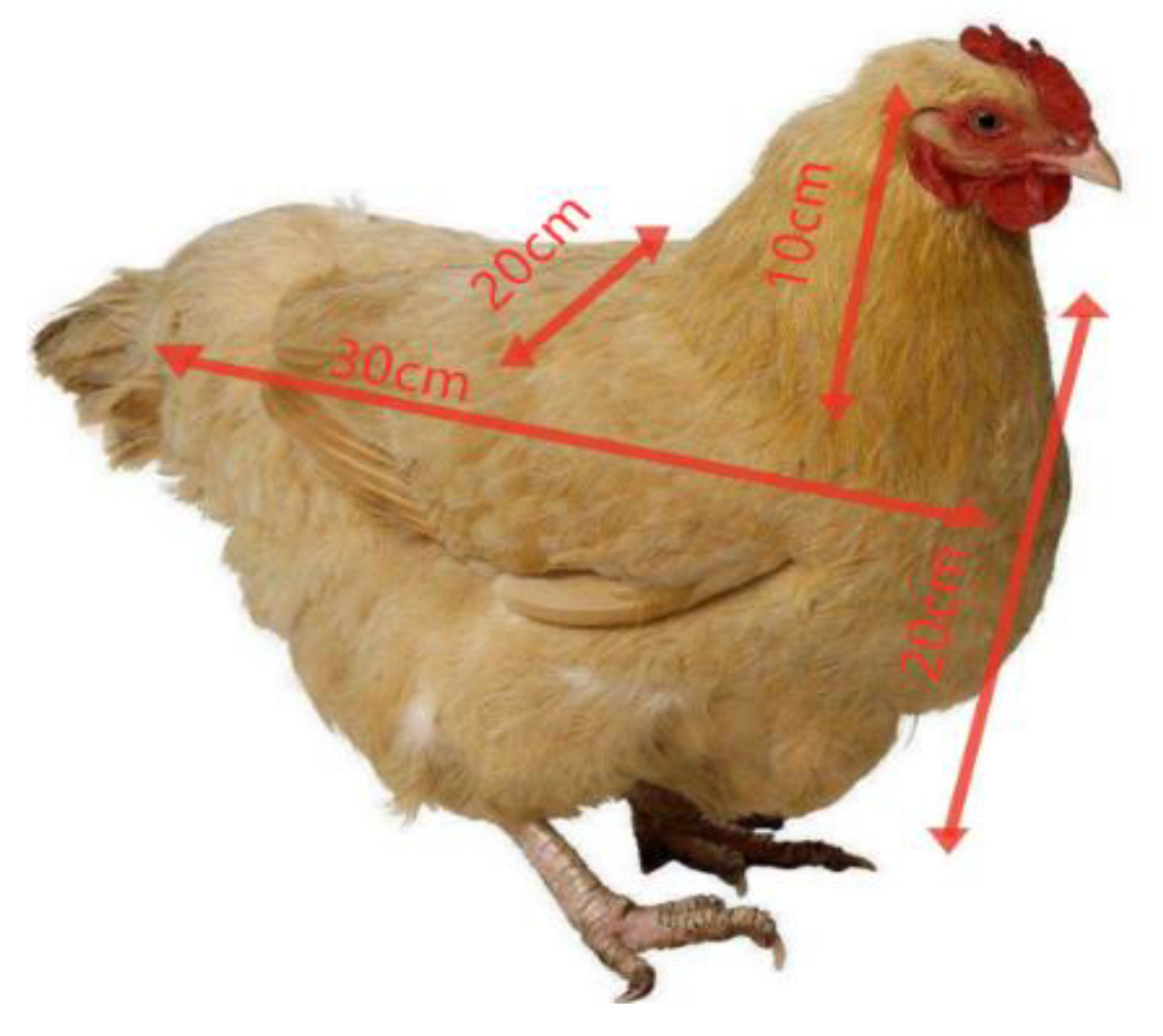 Agriculture 12 00182 g002 550