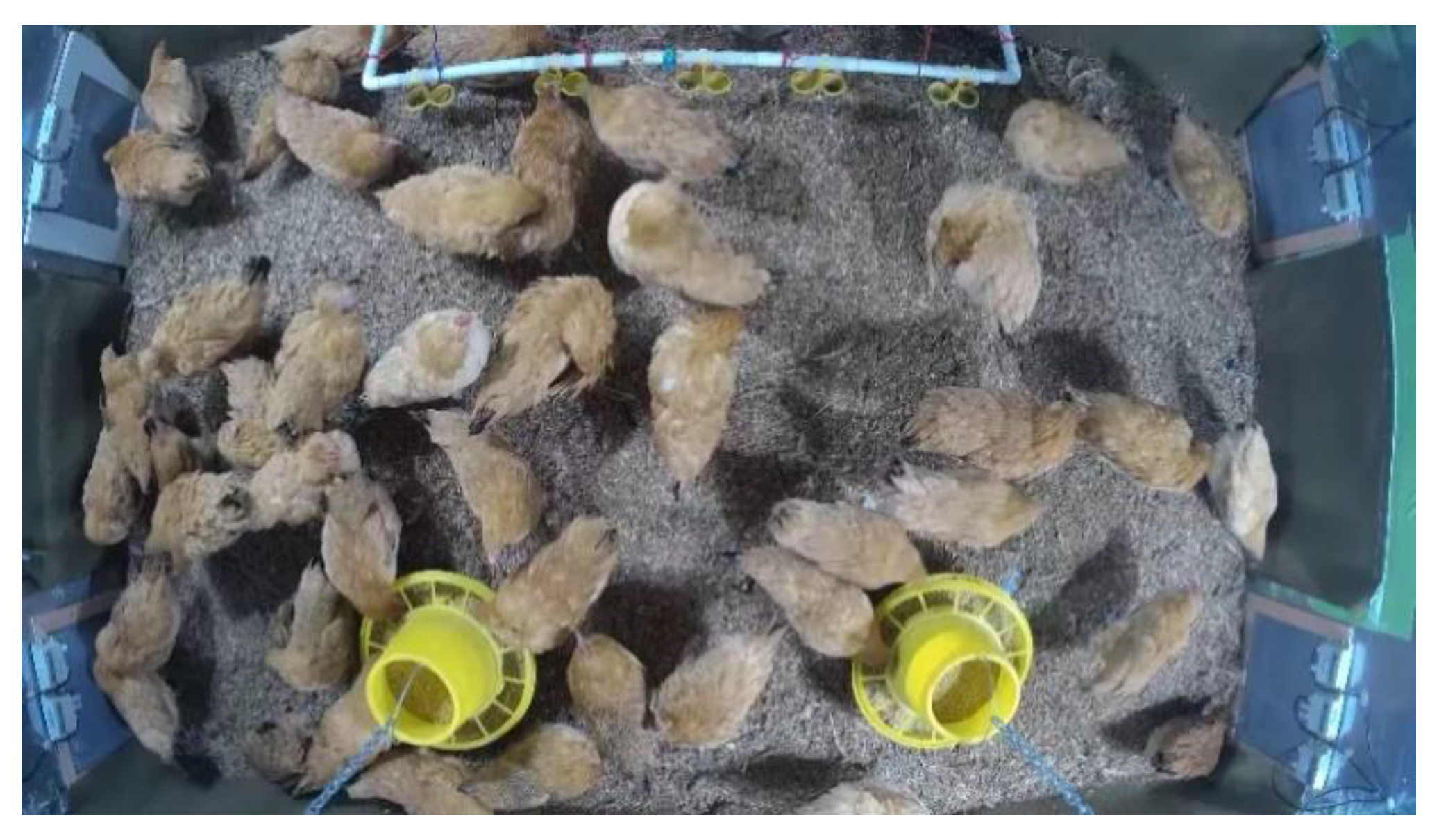 Agriculture 12 00182 g006 550