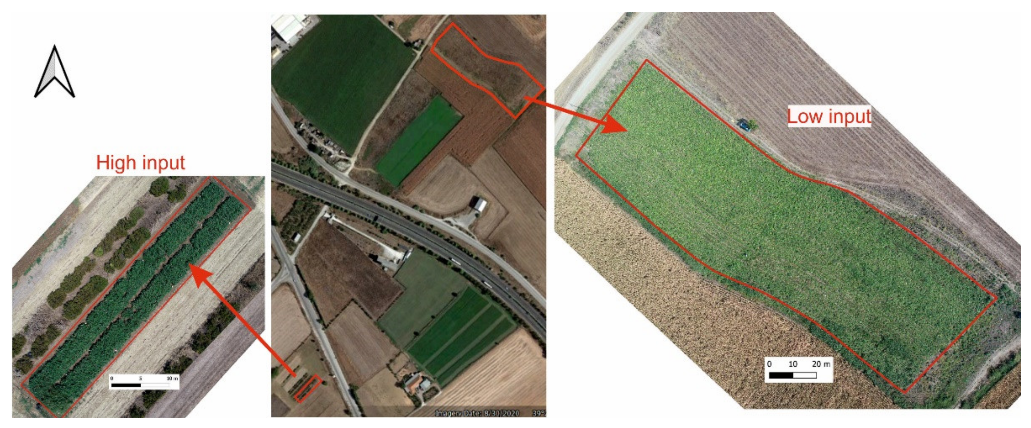 Agriculture 12 00206 g001