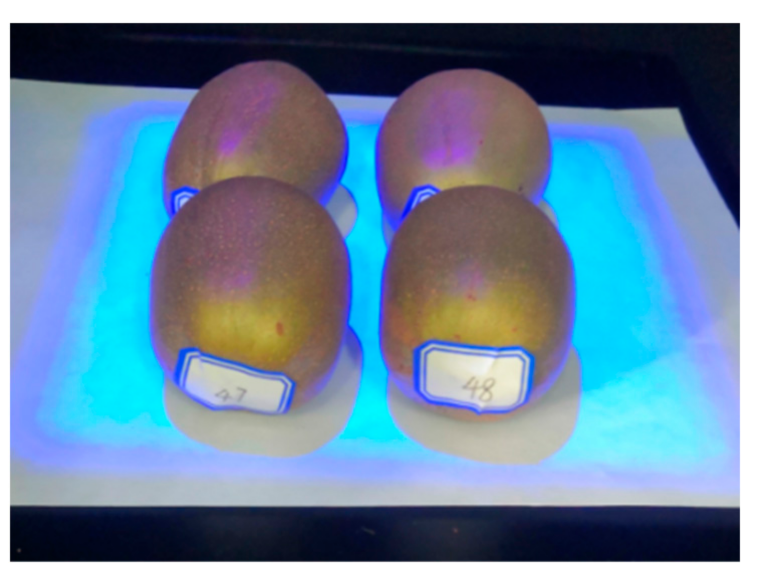 Agriculture 12 00208 g001