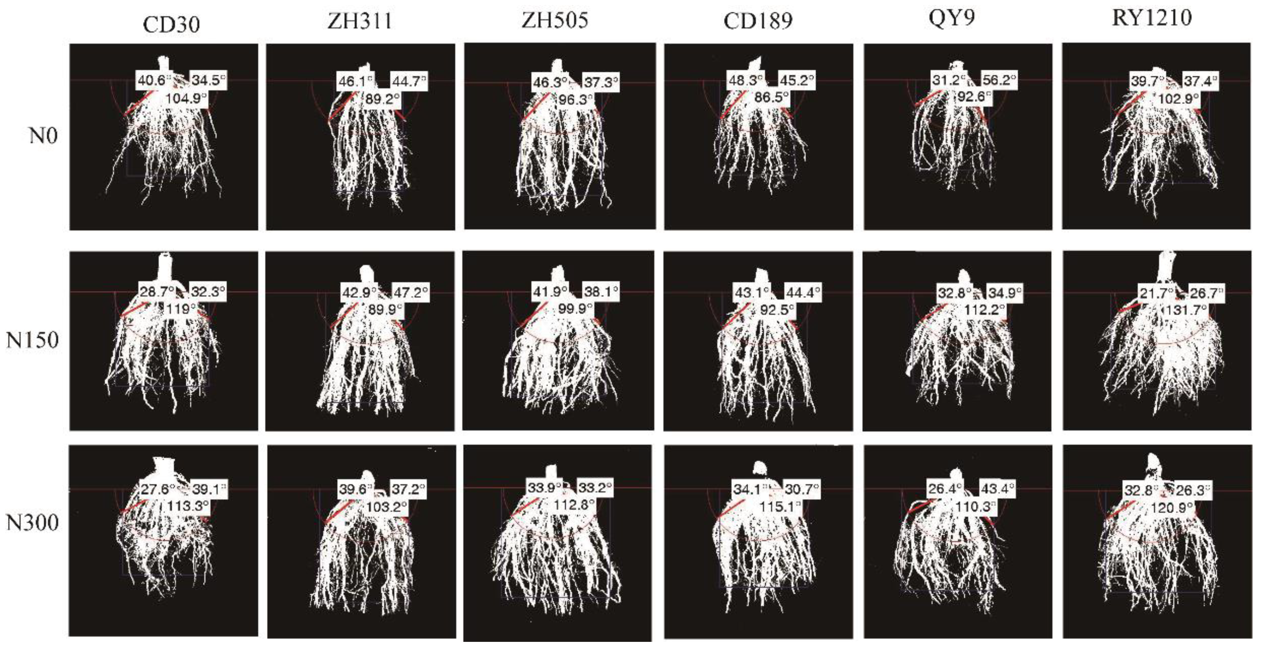 Agriculture 12 00209 g004