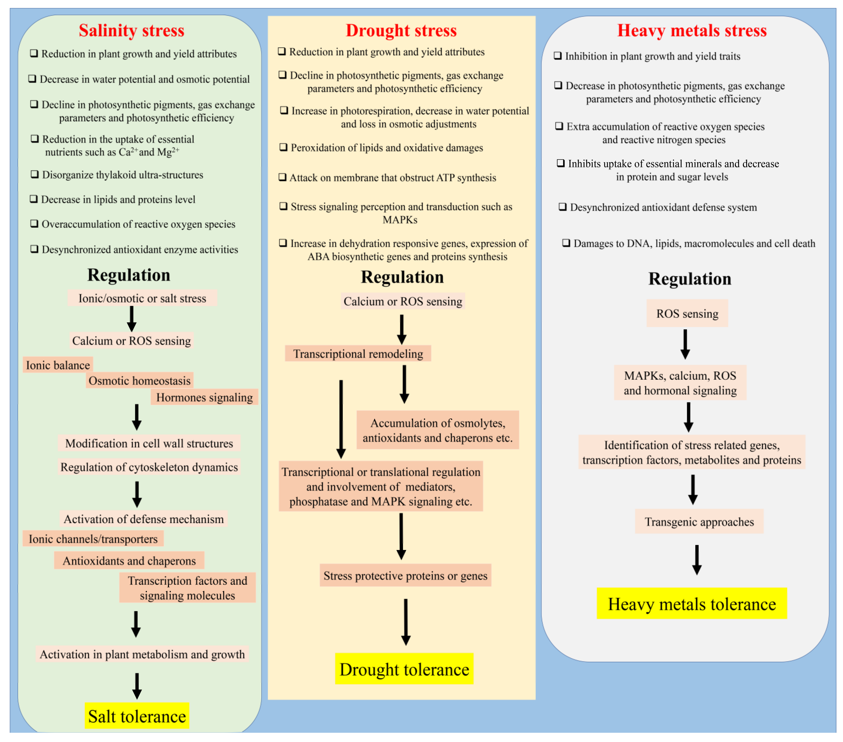 Agriculture 12 00211 g002