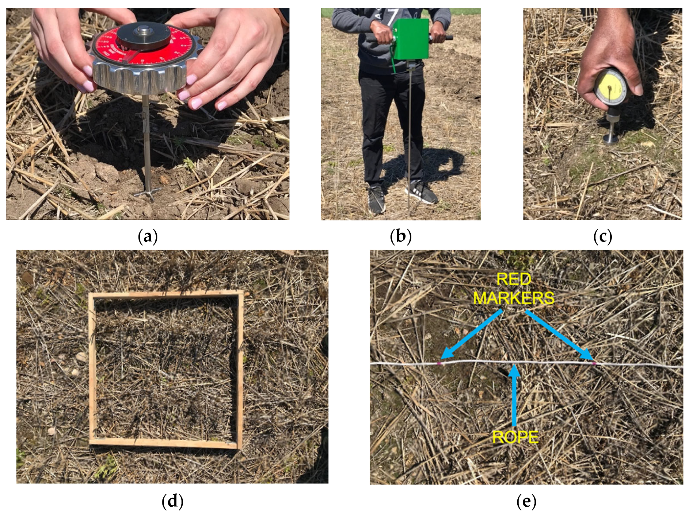 Agriculture 12 00219 g004