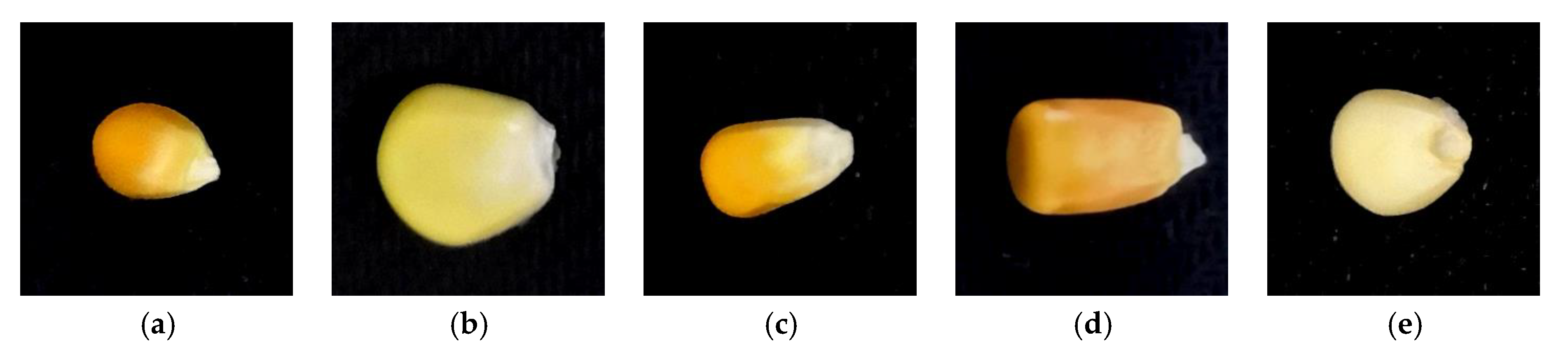 Agriculture 12 00232 g001 550