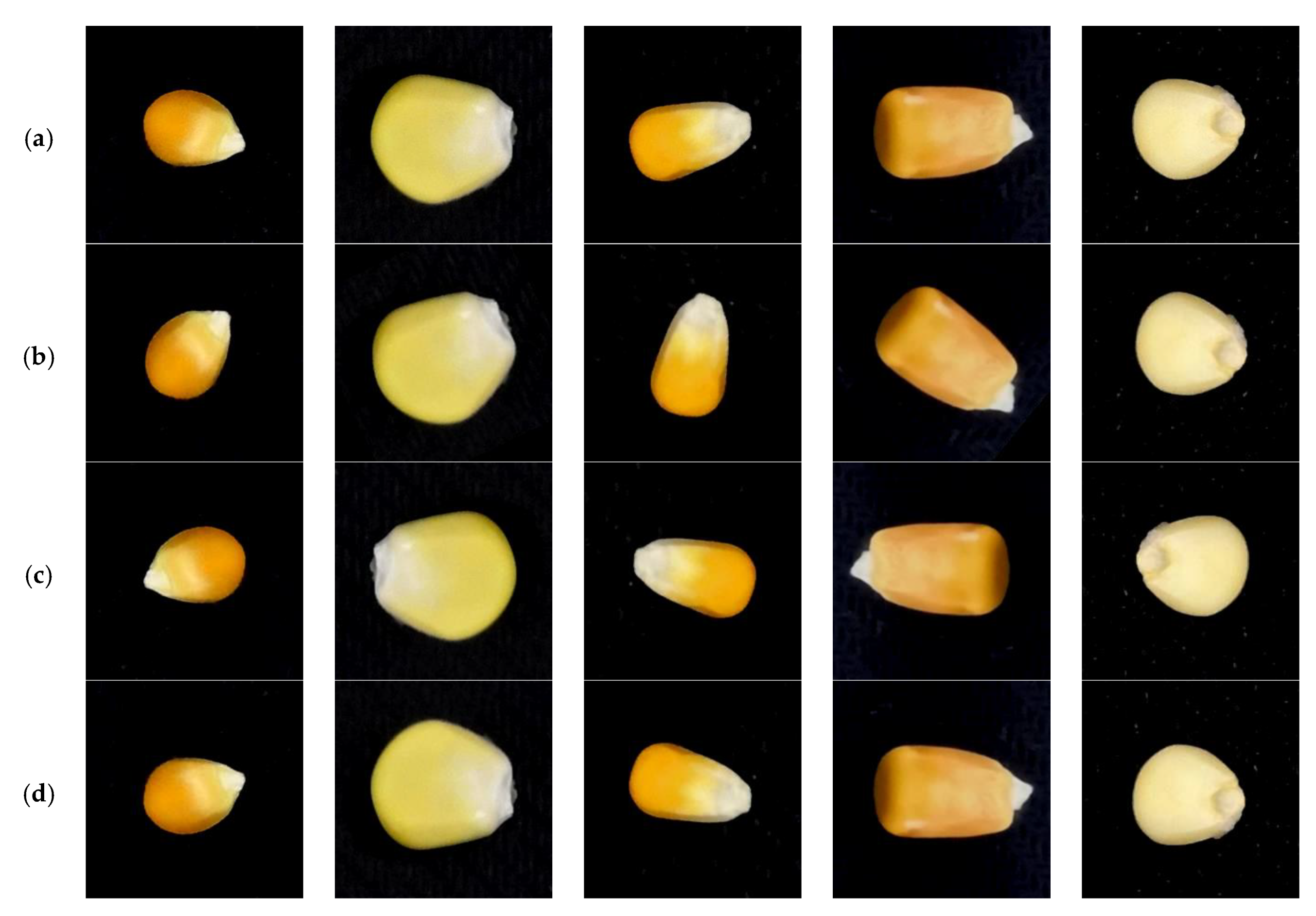 Agriculture 12 00232 g002 550