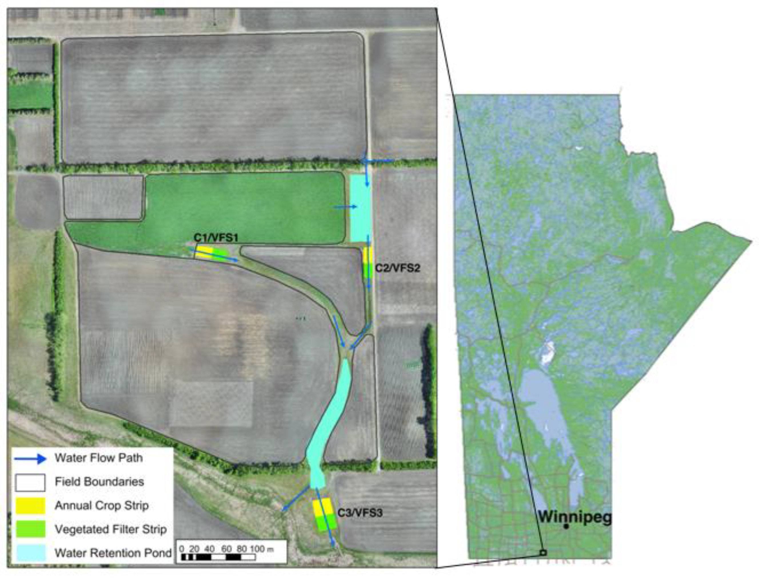 Agriculture 12 00233 g001 550