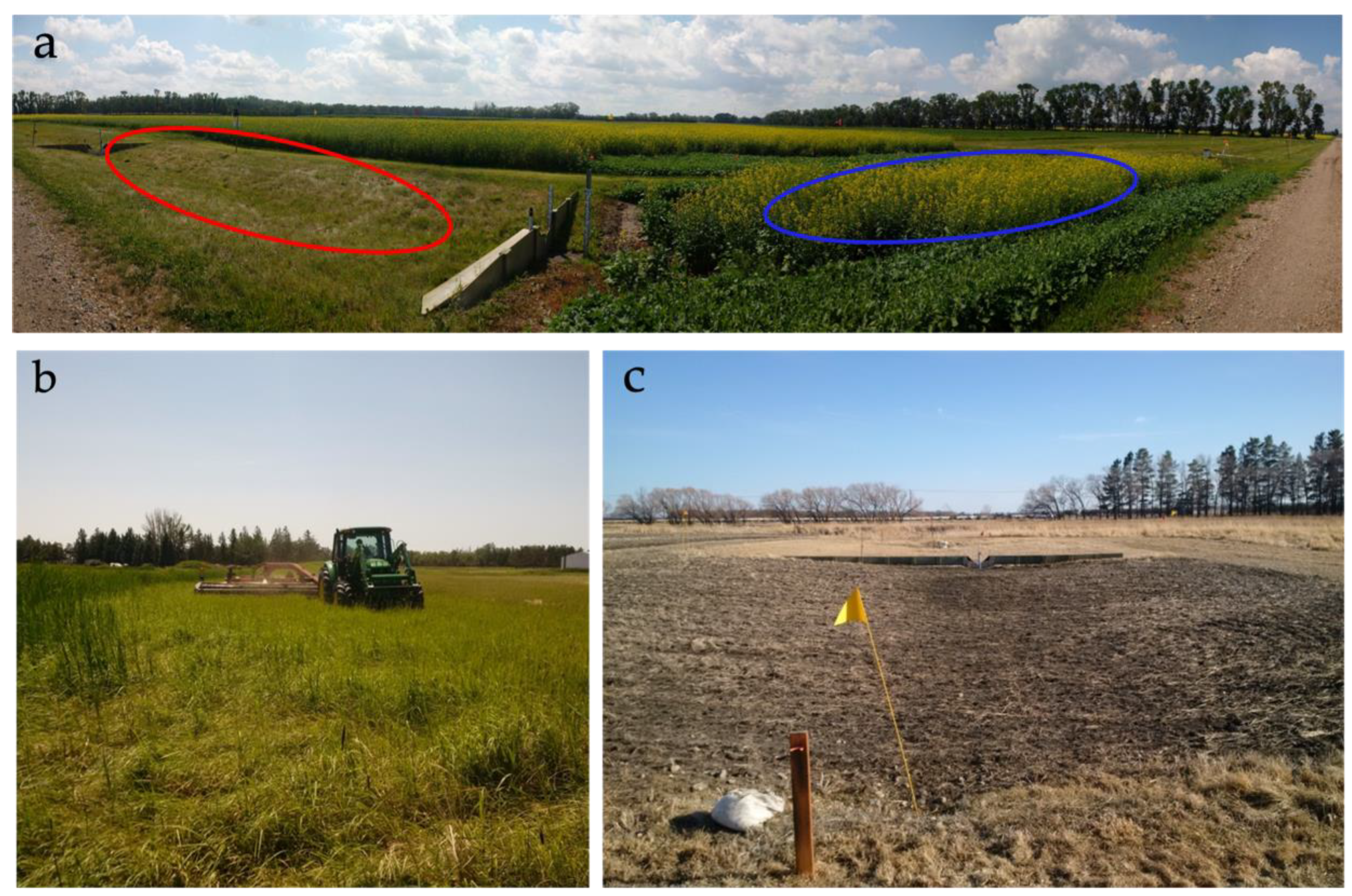 Agriculture 12 00233 g002 550