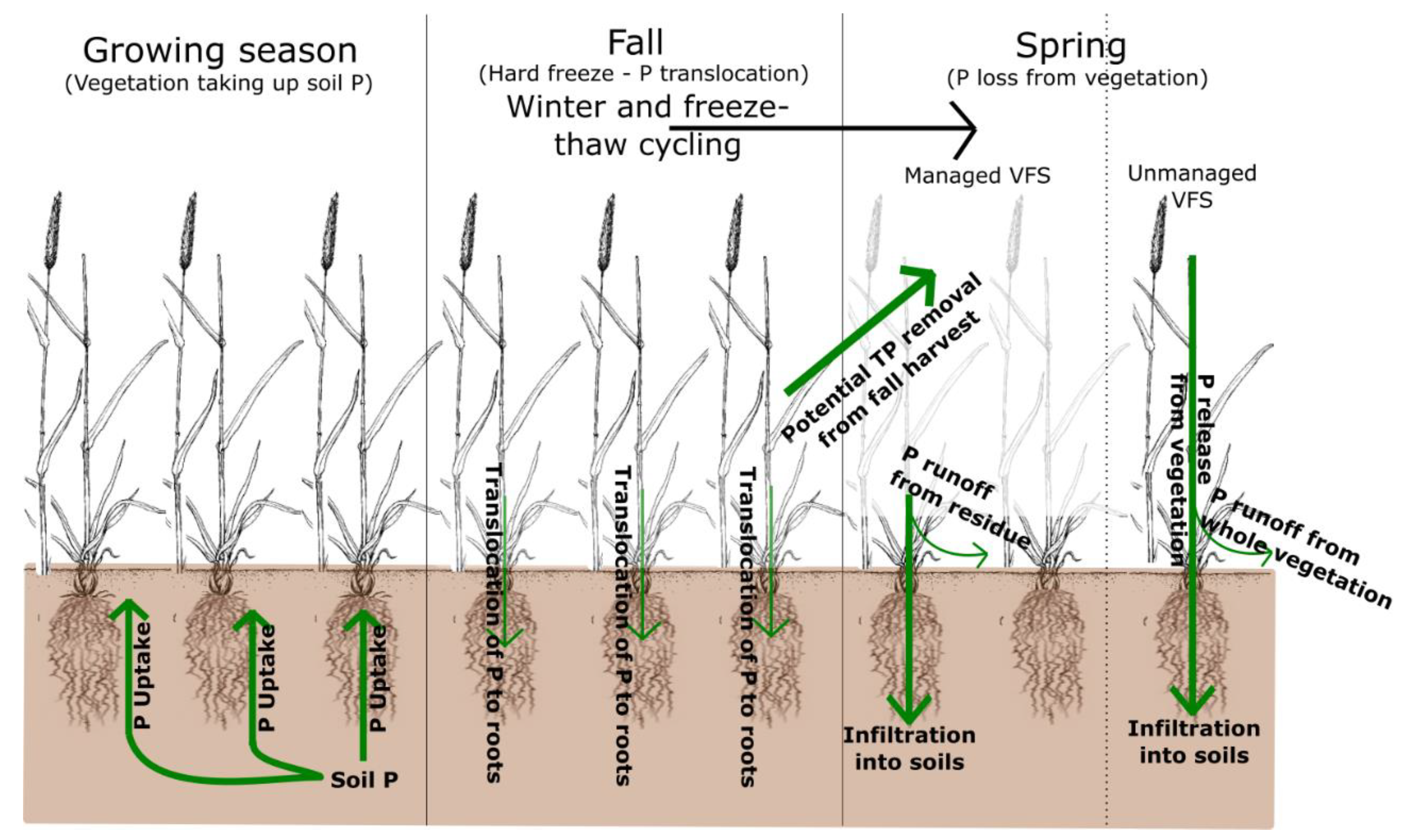 Agriculture 12 00233 g006 550